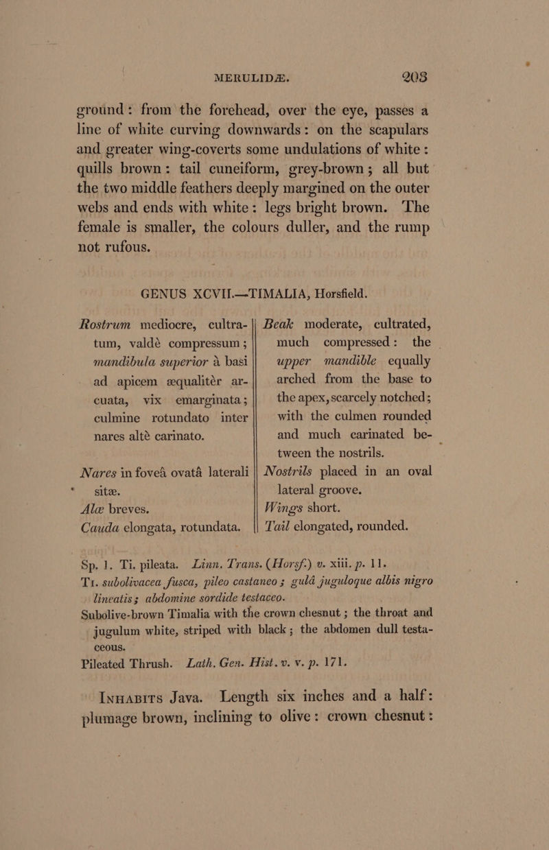 ground: from the forehead, over the eye, passes a line of white curving downwards: on the scapulars and greater wing-coverts some undulations of white : quills brown: tail cuneiform, grey-brown ; all but the two middle feathers deeply margined on the outer webs and ends with white: legs bright brown. ‘The female is smaller, the colours duller, and the rump not rufous. | GENUS XCVII.—TIMALIA, Horsfield. Rostrum mediocre, cultra- || Beak moderate, cultrated, tum, valdé compressum ; much compressed: the - mandibula superior a basi ad apicem sequalitér ar- cuata, vix emarginata; culmine rotundato inter nares alté carinato. upper mandible equally arched from the base to the apex, scarcely notched; with the culmen rounded and much carmated be-_ tween the nostrils. Nares in foveA ovata laterali || Nostrils placed in an oval site. lateral groove. Alc breves. Cauda elongata, rotundata. Wings short. Tail elongated, rounded. Sp. 1. Ti. pileata. Linn. Trans. (Horsf-) v. xii. p. 11. Tr. sudolivacea fusca, pileo castaneo ; guld juguloque albis nigro lineatis ; abdomine sordide testaceo. Subolive-brown Timalia with the crown chesnut ; the throat and jugulum white, striped with black; the abdomen dull testa- ceous. Pileated Thrush. Lath. Gen. Hist.v. v. p. 171. Innasits Java. Length six inches and a half: plumage brown, inclining to olive: crown chesnut :