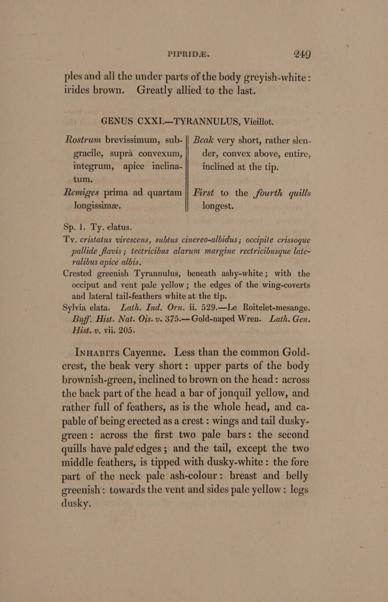 ples and all the under parts of the body greyish-white : irides brown. Greatly allied to the last. GENUS CXXI.—TYRANNULUS, Vieillot. Rostrum brevissimum, sub- || Beak very short, rather slen- gracile, supra convexum, der, convex above, entire, integrum, apice inclina-|| inclined at the tip. tum. Remiges prima ad quartam || First to the fourth quills longissimee. longest. Sp. 1. Ty. elatus. Ty. cristatus virescens, subtus cinereo-albidus ; occipite crissoque pallide flavis ; tectricibus alarum margine rectricibusque late- ralibus apice albis. Crested greenish Tyrannulus, beneath ashy-white; with the occiput and vent pale yellow; the edges of the wing-coverts and lateral tail-feathers white at the tip. Sylvia elata. Lath. Ind. Orn. ii. 529.—Le Roitelet-mesange. Buff. Hist. Nat. Otis. v. 375.—Gold-naped Wren. Lath. Gen. Hist. v. vii. 205. . Innasits Cayenne. Less than the common Gold- crest, the beak very short: upper parts of the body brownish-green, inclined to brown on the head: across the back part of the head a bar of jonquil yellow, and rather full of feathers, as is the whole head, and ca- pable of being erected as a crest : wings and tail dusky- green: across the first two pale bars: the second quills have pale edges ; and the tail, except the two middle feathers, is tipped with dusky-white : the fore part of the neck pale ash-colour: breast and. belly greenish : towards the vent and sides pale yellow: legs dusky.