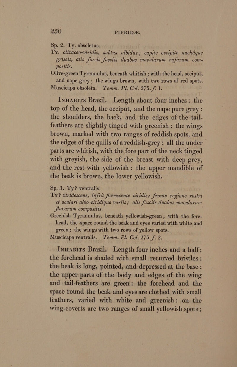 Sp. 2. Ty. obsoletus. Ty. olivaceo-viridis, subtus albidus ; capite occipite nuchdque griseis, alis fuscis fasciis duabus macularum rufarum com- posttis. Olive-green Tyrannulus, beneath whitish ; with the head, occiput, and nape grey ; the wings brown, with two rows of red spots. Muscicapa obsoleta. Temm. Pl. Col. 275. /f. 1. Inuasits Brazil. Length about four inches: the top of the head, the occiput, and the nape pure grey : the shoulders, the back, and the edges of the tail- feathers are slightly tinged with greenish : the wings brown, marked with two ranges of reddish spots, and the edges of the quills of a reddish-grey : all the under parts are whitish, with the fore part of the neck tinged with greyish, the side of the breast with deep grey, and the rest with yellowish: the upper: mandible of the beak is brown, the lower yellowish. Sp. 3. Ty? ventralis. Ty? viridescens, infra favescente viridis; fronte regione rostri et oculari albo viridique variis; alis Sascits Bigs biis. macularum flavarum compositis. Greenish Tyrannulus, beneath validictasaten with the fore- head, the space round the beak and eyes varied with white and green ; the wings with two rows of yellow spots. Muscicapa ventralis. TZemm. Pl. Col. 275.f. 2. Innasits Brazil. Length four inches and a half: the forehead is shaded with small recurved bristles : the beak is long, pointed, and depressed at the base : the upper parts of the body and edges of the wing and tail-feathers are green: the forehead and the space round the beak and eyes are clothed with small feathers, varied with white and greenish: on the wing-coverts are two ranges of small yellowish spots ;