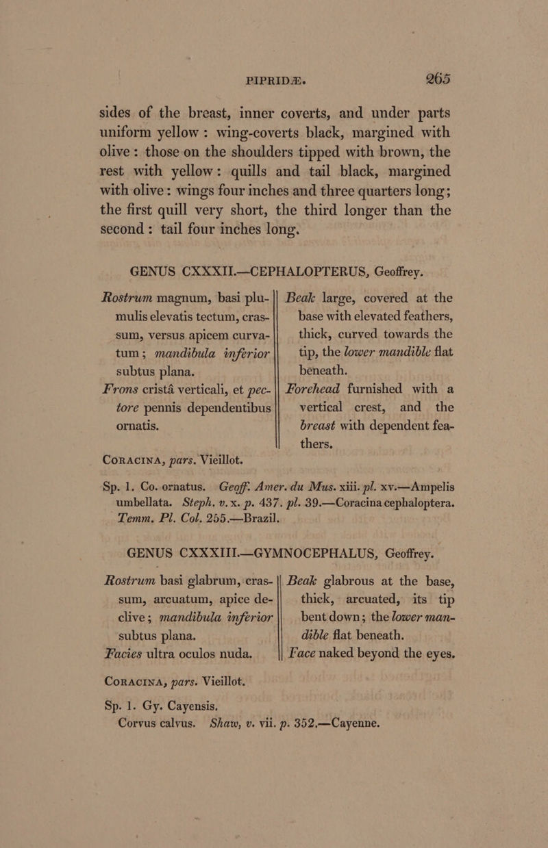 sides of the breast, inner coverts, and under parts uniform yellow : wing-coverts black, margined with olive : those on the shoulders tipped with brown, the rest with yellow: quills and tail black, margined with olive: wings four inches and three quarters long; the first quill very short, the third longer than the second : tail four inches long. GENUS CXXXII.—CEPHALOPTERUS, Geoffrey. Rostrum magnum, basi plu- || Beak large, covered at the mulis elevatis tectum, cras- base with elevated feathers, sum, versus apicem curva-|} _ thick, curved towards the tum; mandibula inferior tip, the lower mandible flat subtus plana. beneath. Frons crista verticali, et pec- || Forehead furnished with a tore pennis dependentibus vertical crest, and the ornatis. breast with dependent fea- thers. CoracinA, pars. Vieillot. Sp. 1. Co. ornatus. Geoff. Amer. du Mus. xiii. pl. xv.—Ampelis umbellata. Steph. v.x. p. 437. pl. 39.—Coracina cephaloptera. Temm, Pl. Col. 255.—Brazil. GENUS CXXXIII—GYMNOCEPHALUS, Geoffrey. Rostrum basi glabrum, cras- || Beak glabrous at the base, sum, arcuatum, apice de- thick, arcuated, its tip clive; mandibula inferior || bent down; the lower man- subtus plana. dible flat beneath. Facies ultra oculos nuda. Face naked beyond the eyes. Coracina, pars. Vieillot. Sp. 1. Gy. Cayensis, Corvus calyus. Shaw, v. vii. p. 352,—Cayenne.