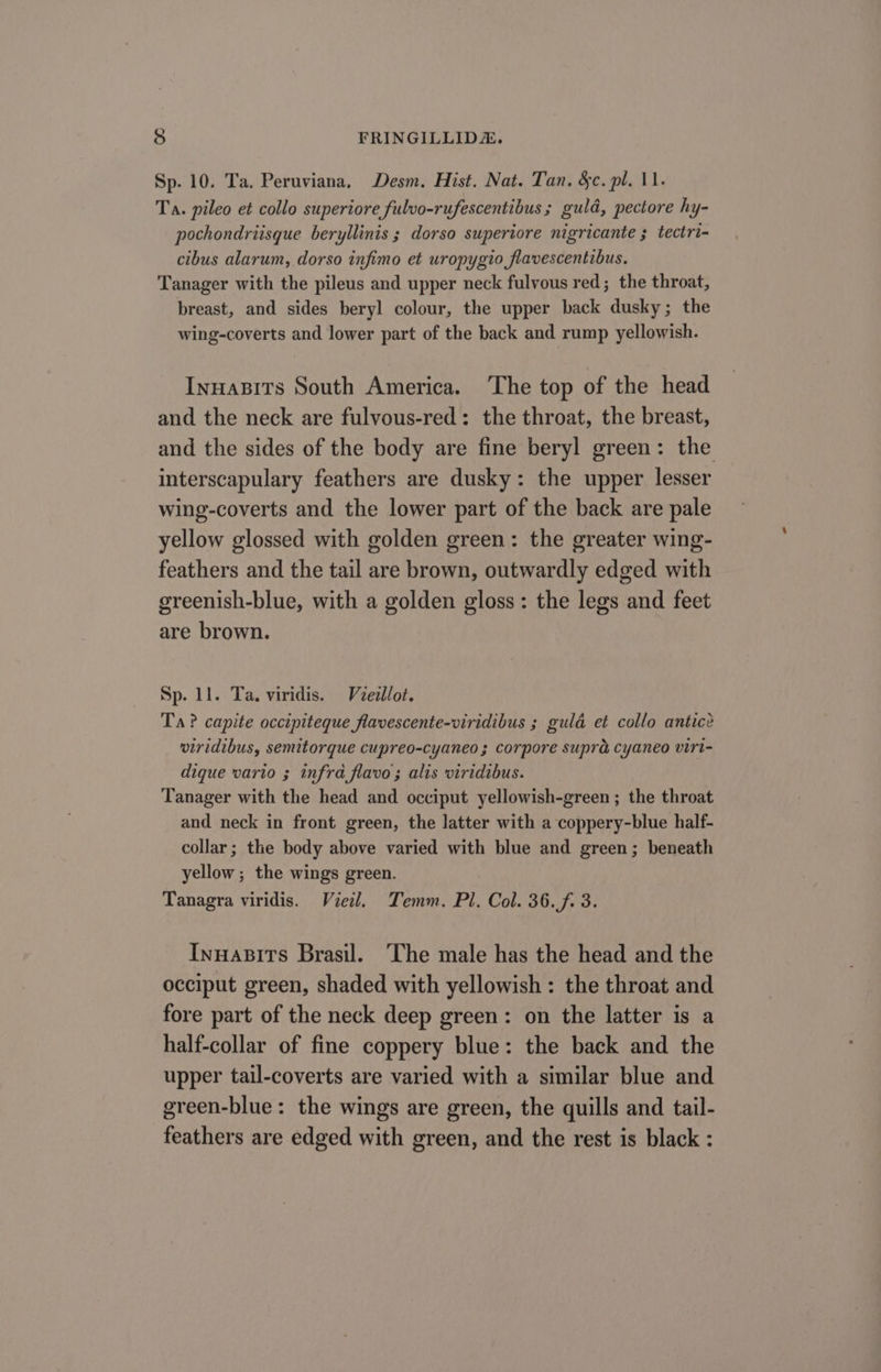 Sp. 10. Ta. Peruviana, Desm. Hist. Nat. Tan. &amp;c. pl. 11. Ta. pileo et collo superiore fulvo-rufescentibus; guld, pectore hy- pochondriisque beryllinis ; dorso superiore nigricante ; tectri- cibus alarum, dorso infimo et uropygio flavescentibus. Tanager with the pileus and upper neck fulvous red; the throat, breast, and sides beryl colour, the upper back dusky; the wing-coverts and lower part of the back and rump yellowish. Inuapits South America. ‘The top of the head and the neck are fulvous-red: the throat, the breast, and the sides of the body are fine beryl green: the interscapulary feathers are dusky: the upper lesser wing-coverts and the lower part of the back are pale yellow glossed with golden green: the greater wing- feathers and the tail are brown, outwardly edged with greenish-blue, with a golden gloss: the legs and feet are brown. Sp. ll. Ta. viridis. Vzezllot. Ta? capite occipiteque flavescente-viridibus ; gula et collo antice viridibus, semitorque cupreo-cyaneo; corpore supra cyaneo viri- dique vario ; infra flavo; alis viridibus. Tanager with the head and occiput yellowish-green ; the throat and neck in front green, the latter with a coppery-blue half- collar; the body above varied with blue and green; beneath yellow; the wings green. Tanagra viridis. Vieil. Temm. Pl, Col. 36.f. 3. Innasits Brasil. ‘The male has the head and the occiput green, shaded with yellowish : the throat and fore part of the neck deep green: on the latter is a half-collar of fine coppery blue: the back and the upper tail-coverts are varied with a similar blue and green-blue: the wings are green, the quills and tail- feathers are edged with green, and the rest is black :