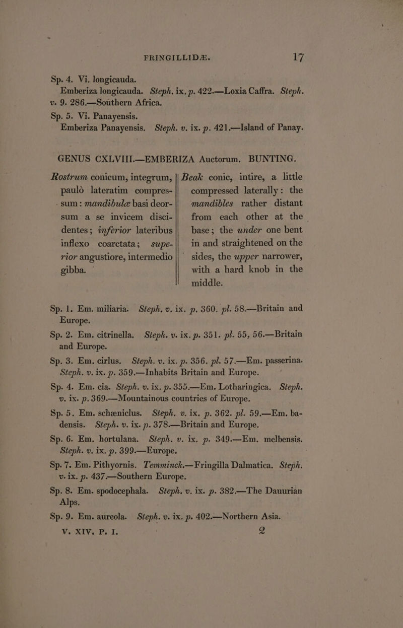 Sp. 4. Vi. longicauda. Emberiza longicauda. Steph. ix. p. 422.—Loxia Caffra. Steph. v- 9. 286.—Southern Africa. Sp. 5. Vi. Panayensis. Emberiza Panayensis. Steph. v. ix. p. 421.—Island of Panay. GENUS CXLVIII.—EMBERIZA Auctorum. BUNTING. Rostrum conicum, integrum, || Beak conic, intire, a little paulo lateratim compres- - sum: mandibule basi deor- sum a se invicem disci- dentes; inferior lateribus inflexo coarctata; supe- rior angustiore, intermedio gibba. compressed laterally: the mandibles rather distant from each other at the base; the wnder one bent in and straightened on the with a hard knob in the middle. Sp. 1. Em. miliaria. Steph. v. ix. p. 360. pl. 58.—Britain and Europe. Sp. 2. Em. citrinella. Steph. v. ix. p. 351. pl. 55, 56.—Britain and Europe. Sp. 3. Em. cirlus, Steph. v. ix. p. 356. pl. 57.—Em. passerina. Steph. v. ix. p. 359.—Inhabits Britain and Europe. Sp. 4. Em. cia. Steph. v. ix. p.355.—Em. Lotharingica. Steph. v. ix. p. 369.—Mountainous countries of Europe. Sp. 5. Em. scheniclus. Steph. v. ix. p. 362. pl. 59.—Em. ba- densis. Steph. v. ix. p. 378.—Britain and Europe. Sp. 6. Em. hortulana. Steph. v. ix. p. 349.—Em. melbensis. Steph. v. ix. p. 399.—Europe. : Sp. 7. Em. Pithyornis. Temminck.—Fringilla Dalmatica. Steph. v. 1x. p. 437.—Southern Europe. Sp. 8. Em. spodocephala. Alps. Sp. 9. Em. aureola. Steph. v. ix. p. 402.—Northern Asia. V. XIV. P. I. | i 2 Steph, v. 1x. p. 382.—The Dauurian