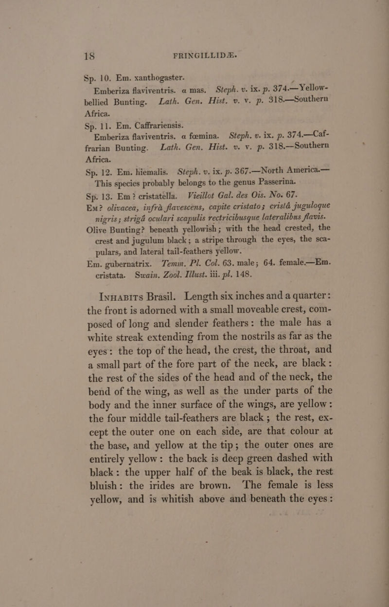 Sp. 10. Em. xanthogaster. Emberiza flaviventris. a mas. Steph. v. ix. p. 374.— Yellow- bellied Bunting. Lath. Gen. Hist. v. v. p. 318.—Southern Africa. Sp. 11. Em. Caffrariensis. Emberiza flaviventris. a fcemina. Steph. v. ix. p. 374,.—Caf- frarian Bunting. Lath. Gen. Hist. v. v. p- 318.—Southern Africa. Sp. 12. Em. hiemalis. Steph. v. ix. p. 367.—North America.— This species probably belongs to the genus Passerina. Sp. 13. Em? cristatella. Vieillot Gal. des Ois. No. 67. Em? olivacea, infra flavescens, capite cristato; cristé juguloque nigris ; striga oculari scapulis rectricibusque lateralibus flavis. Olive Bunting? beneath yellowish ; with the head crested, the crest and jugulum black; a stripe through the eyes, the sca- pulars, and lateral tail-feathers yellow. Em. gubernatrix. Temm. Pl. Col. 63. male; 64. female—Em. cristata. Swain. Zool. Iilust. iii. pl. 148. Inuasits Brasil. Length six inches and a quarter: the front is adorned with a small moveable crest, com- posed of long and slender feathers: the male has a white streak extending from the nostrils as far as the eyes: the top of the head, the crest, the throat, and a small part of the fore part of the neck, are black: the rest of the sides of the head and of the neck, the bend of the wing, as well as the under parts of the body and the inner surface of the wings, are yellow: the four middle tail-feathers are black ; the rest, ex- cept the outer one on each side, are that colour at the base, and yellow at the tip; the outer ones are entirely yellow: the back is deep green dashed with black: the upper half of the beak is black, the rest bluish: the irides are brown. ‘The female is less yellow, and is whitish above and beneath the eyes: