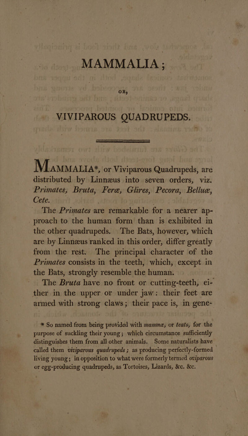 MAMMALIA ; VIVIPAROUS QUADRUPEDS. Mawmatras, or Viviparous Quadrupeds, are distributed by Linnzus into seven orders, viz. Primates, Bruta, Fere, Glires, Pecora, Bellue, Cete. | The Primates are remarkable for a nearer ap- proach to the human form than is exhibited in the other quadrupeds. The Bats, however, which are by Linneus ranked in this order, differ greatly from the rest. ‘The principal character of the Primates consists in the teeth, which, except in the Bats, strongly resemble the human. | The Bruta have no front or cutting-teeth, ei- ther in the upper or under jaw: their feet are armed with strong claws; their pace is, in gene- * So named from being provided with mamme; or teats, for the purpose of suckling their young; which circumstance sufficiently distinguishes them from all other animals. Some naturalists have called them viviparous quadrupeds ; as producing perfectly-formed living young; in opposition to what were formerly termed oviparous or egg-producing quadrupeds, as Tortoises, Lizards, &amp;c. &amp;c.