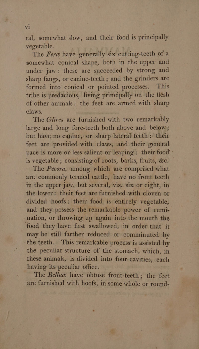 ral, somewhat slow, and their food is principally vegetable. The Fere have generally six cutting-teeth of a somewhat conical shape, both in the upper and under jaw: these are succeeded by strong and sharp fangs, or canine-teeth ; and the grinders are formed into conical or pointed processes. ‘This tribe is predacious, living principally on the flesh of other animals: the feet are armed with sharp claws. pppoe | The Glires are furnished with two remarkably large and long fore-teeth both above and below; but have no canine, or sharp lateral teeth: their feet are provided with claws, and their general pace is more or less salient or leaping: their food' - is vegetable ; consisting of roots, barks, fruits, &amp;c. — The Pecora, among which are comprised what are. commonly termed cattle, have no front teeth in the upper jaw, but several, viz. six or eight, in the lower: their feet are furnished with cloven or divided hoofs: their food is entirely vegetable, and they possess the remarkable power of rumi- nation, or throwing up again into the mouth the food they have first swallowed, in order that it may be still farther reduced or comminuted by -the teeth. ‘This remarkable process is assisted by the peculiar structure of the stomach, which, in these animals, is divided into four cavities, each having its peculiar office. _ The Bellue have obtuse front-teeth ; the feet are furnished with hoofs, in some whole or round-