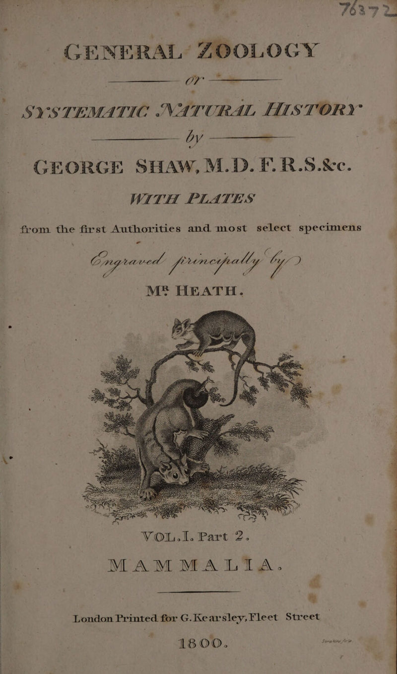 -» GENERAL’ : gp SYSTEMATIC NATORAL HISTORY | : ee GEORGE SHAW, M.D. PF. R.S.&amp;e. | WITH PLATES from the first Authorities and most select sencubedis Cngraved frmepally Gy ME HEATH. London Printed for G. Kearsley, Fleet Street »* 1 8 OO ° Sime tow (ore