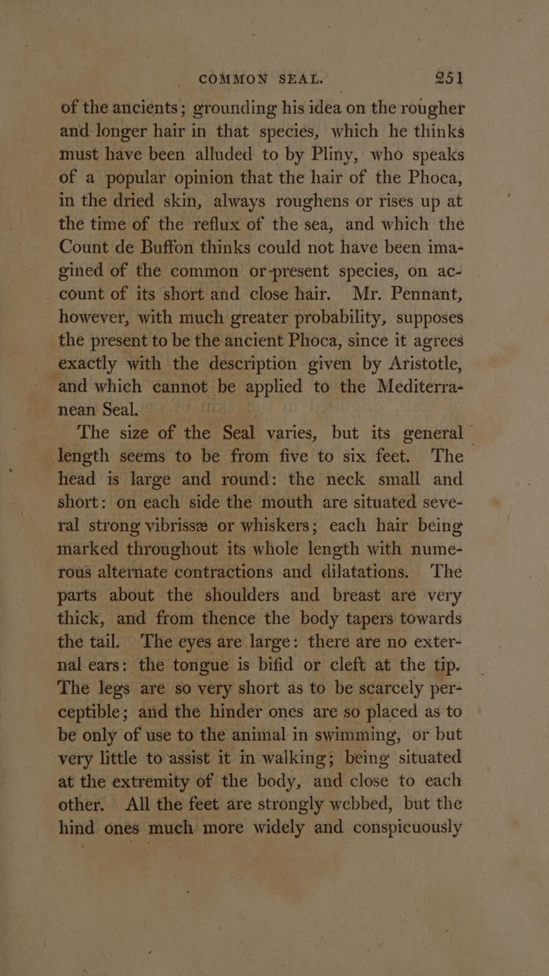 of the ancients; grounding his idea on the rougher and longer hair in that species, which he thinks must have been alluded to by Pliny, who speaks _of a popular opinion that the hair of the Phoca, in the dried skin, always roughens or rises up at the time of the reflux of the sea, and which the Count de Buffon thinks could not have been ima- gined of the common or-present species, on ac- _ count of its short and close hair. Mr. Pennant, however, with much greater probability, supposes the present to be the ancient Phoca, since it agrees exactly with the description given by Aristotle, and which cannot. be price to the Mediterra- nean Seal. | The size of the cay varies, but its general” length seems to be from five to six feet. The head is large and round: the neck small and short: on each side the mouth are situated seve- ral strong vibrissze or whiskers; each hair being marked throughout its whole length with nume- rous alternate contractions and dilatations. The parts about the shoulders and breast are very thick, and from thence the body tapers towards the tail. The eyes are large: there are no exter- nal ears: the tongue is bifid or cleft at the tip. _ The legs are so very short as to be scarcely per- ceptible; and the hinder ones are so placed as to be only of use to the animal in swimming, or but very little to assist it in walking; being sigunted at the extremity of the body, ind bles to each other. All the feet are strongly webbed, but the hind ones much more widely and conspicuously