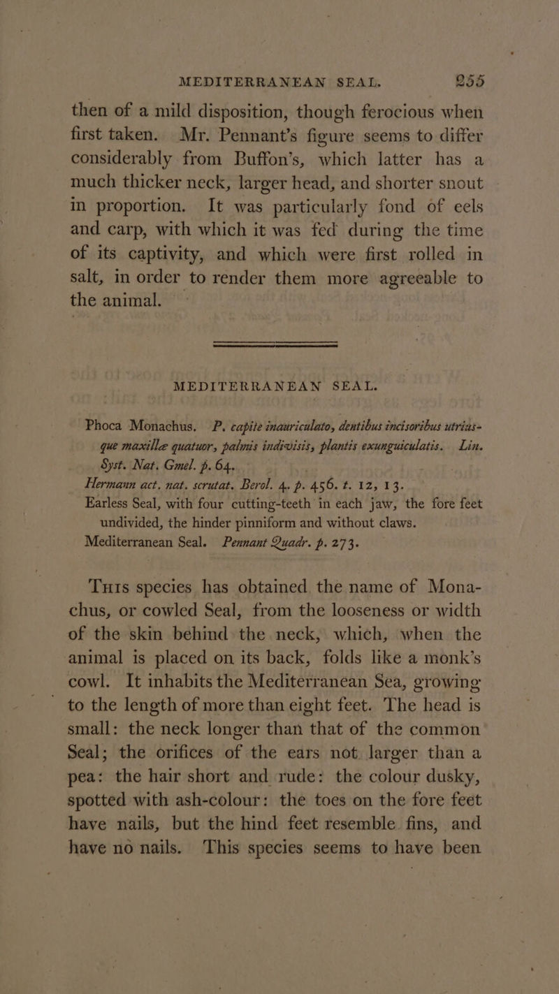 then of a mild disposition, though ferocious when first taken. Mr. Pennant’s figure seems to differ considerably from Buffon’s, which latter has a much thicker neck, larger head, and shorter snout in proportion. It was particularly fond of eels and carp, with which it was fed during the time of its captivity, and which were first rolled in salt, in order to render them more agreeable to the animal. MEDITERRANEAN SEAL. Phoca Monachus. P. capite inauriculato, dentibus incisoribus utrias- que maxille quatuor, palmis indivisis, plantis exunguiculatis. Lin. Syst. Nat. Gmel. p.64.. 0 Hermann act. nat. scrutat. Berol. 4. p. 456. t. 12, 13. Earless Seal, with four cutting-teeth in each jaw, the fore feet undivided, the hinder pinniform and without claws. Mediterranean Seal. Pennant Quadr. p. 273. Tuts species has obtained the name of Mona- chus, or cowled Seal, from the looseness or width of the skin behind the neck, which, when the animal is placed on its back, folds like a monk’s cowl. It inhabits the Mediterranean Sea, growing to the length of more than eight feet. The head is small: the neck longer than that of the common Seal; the orifices of the ears not. larger than a pea: the hair short and rude: the colour dusky, spotted with ash-colour: the toes on the fore feet have nails, but the hind feet resemble fins, and have no nails. This species seems to have been