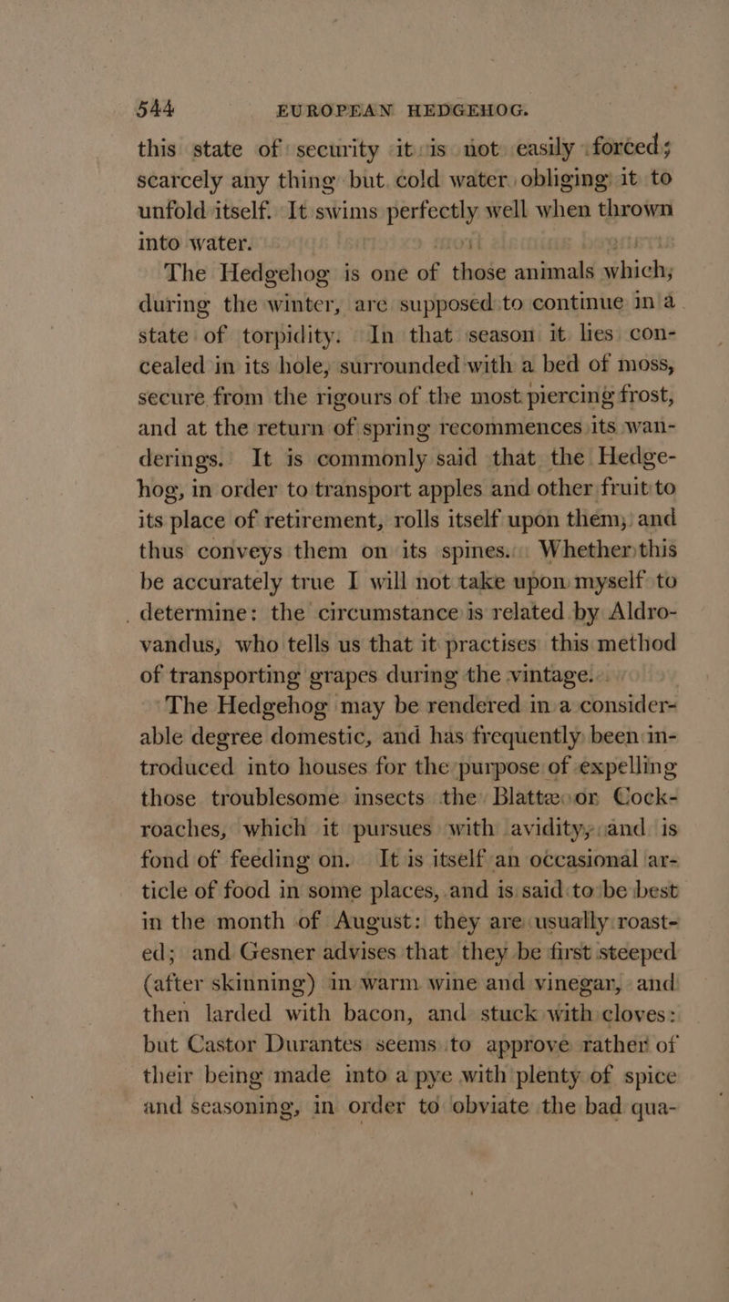 this state of security it:is not easily « forced ; scarcely any thing but. cold water. obliging’ it to unfold itself. It swims perfectly well when thrown into water. ON bs The Hedgehog is one of those animals side during the winter, are supposed:to continue in a. state of torpidity. In that season it lies con- cealed in its hole, surrounded with a bed of moss, secure from the rigours of the most piercing frost, and at the return of spring recommences )its wan- derings. It is commonly said that the Hedge- hog, in order to transport apples and other fruit to its place of retirement, rolls itself upon them) and thus conveys them on its spines... Whetherthis be accurately true I will not take upon myself to _ determine: the circumstance is related by Aldro- vandus, who tells us that it practises this method of transporting grapes during the vintage... The Hedgehog may be rendered in.a consider- able degree domestic, and has frequently been:in- troduced into houses for the purpose of expelling those troublesome insects the Blatteoor Cock- roaches, which it pursues with avidityy,and. is fond of feeding on. It is itself an occasional ar- ticle of food in some places, and is said:to be best in the month of August: they are usually roast- ed; and Gesner advises that they be first steeped (after skinning) In warm wine and vinegar, and then larded with bacon, and stuck with cloves: but Castor Durantes seems to approve rather of their being made into a pye with plenty of spice and seasoning, in order to obviate the bad qua-
