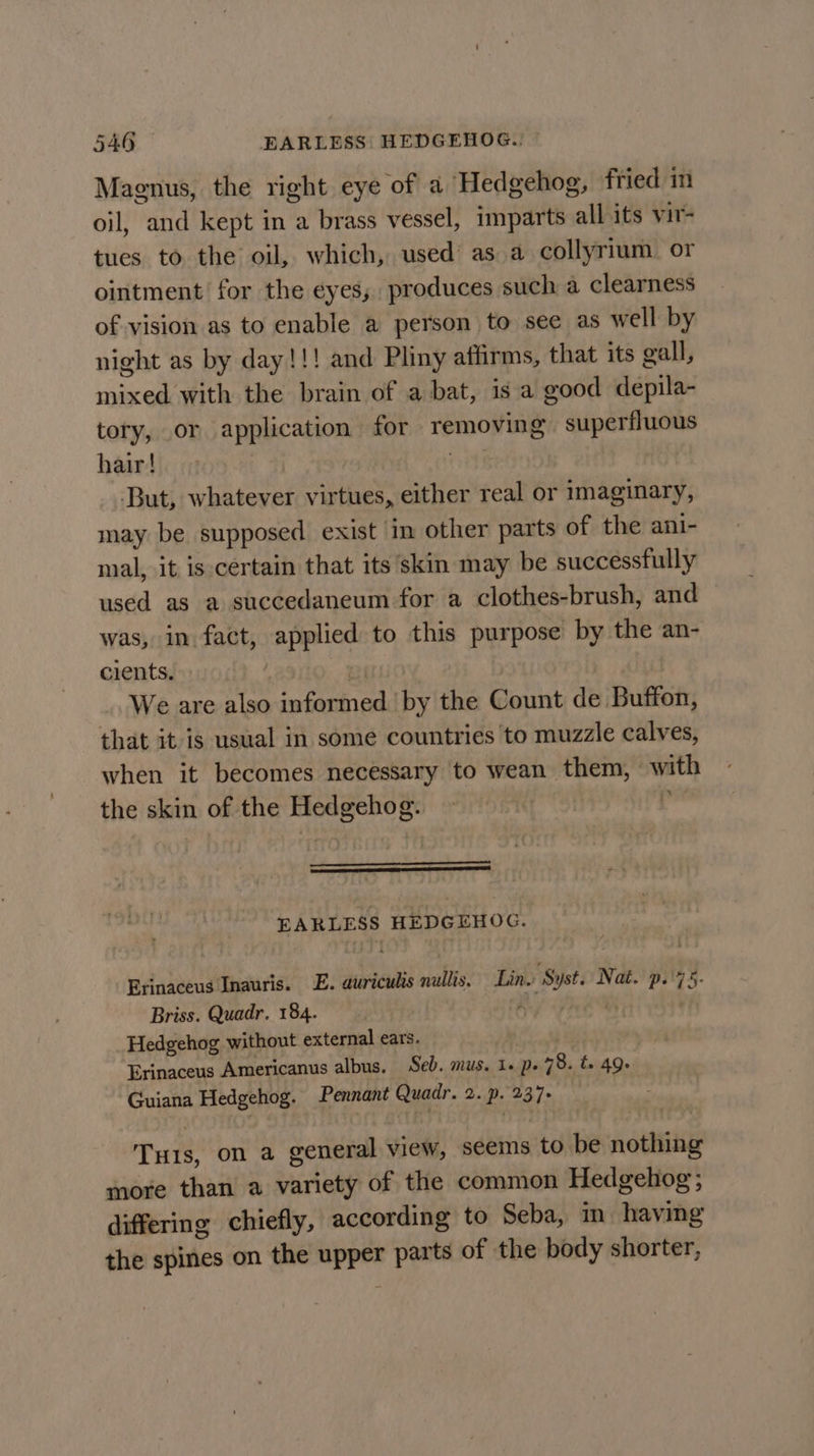 Maenus, the right eye of a Hedgehog, fried in oil, and kept in a brass vessel, imparts all its vir- tues to the oil, which, used’ as a collyrium or ointment for the eyes, produces such a clearness of vision as to enable a person to see as well by night as by day!!! and Pliny affirms, that its gall, sien with the brain of a bat, isa good depila- tory, or application for removing superfluous hair! But, whatever virtues, either real or imaginary, may be supposed exist in other parts of the ani- mal, it is certain that its skin may be successfully used as a succedaneum for a clothes-brush, and was, in fact, applied to this purpose by the an- cients. We are also Bi 3 oe by the Count de. Bulfatt; that it is usual in some countries to muzzle calves, when it becomes necessary to wean them, with the skin of the Hedgehog. | EARLESS HEDGEHOG. Erinaceus Inauris. E. auriculs nullis. Lin. Syst. Nat. p.'75. Briss. Quadr, 184. ‘ . Hedgehog without external ears. Erinaceus Americanus albus. Seb. mus. 1. p78. ts 49s. Guiana 8 Pennant Guat 2. P- 2376 Tus, on a general view, seems to be nothing more than a variety of the common Hedgehog; differing chiefly, according to Seba, m having the spines on the nee parts of the body shorter,