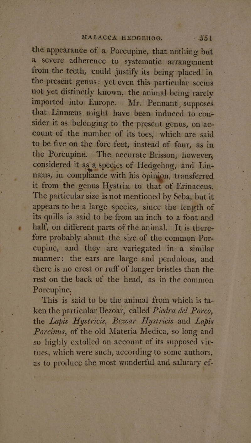 the appearance of a Porcupine, that nothin o but a severe adherence to systematic arrangement from the teeth, could justify its being placed’ in the present genus: yet even this particular seems not yet distinctly known, the animal being rarely imported into Europe. Mr. Pennant. supposes that Linneus might have been induced to con- sider it as belonging to the present genus, on ac- count of the number of its toes, which are said to be five on the fore feet, instead of four, as in the Porcupine. The accurate Brisson, however; considered it as a species of Hedgehog, and Lin- neus, in compliance with his opinion, transferred it from the genus Hystrix to that of Erinaceus. The particular size is not mentioned by Seba, but it appears to be a large species, since the length of its quills is said to be from an inch to a foot and half, on different parts of the animal. It is there- fore probably about the size of the common Por- cupine, and they are variegated in a similar manner: the ears are large and pendulous, and there is no crest or ruff of longer bristles than the rest on the back of the head, as in the common Porcupine. ? 3 This is said to be the animal from which is ta- ken the particular Bezoar, called Piedra del Porco, the Lapis Hystricis, Bezoar Hystricis and Lapis Porcinus, of the old Materia Medica, so long and so highly extolled on account of its supposed vir- tues, which were such, according to some authors, as to produce the most wonderful and salutary ef-