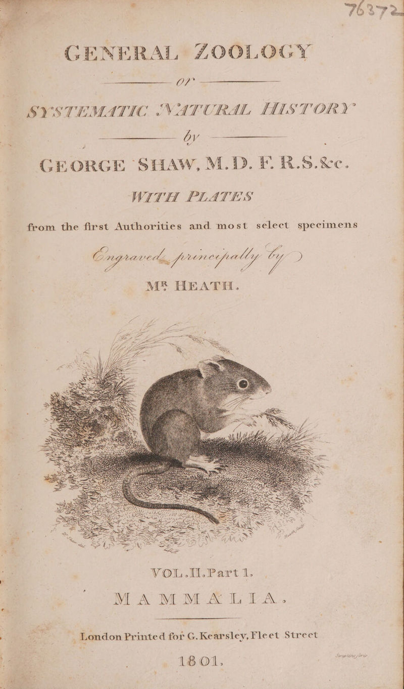 eee } SYSTEMATIC “NATURAL HISTORY 7, V/ ‘ae GEORGE SHAW, M.D. FR.S.&amp;e. | WITH PLATES | from the first Authorities and most select specimens Cngraved. frien CL cally Ly . M® HEATH. 4a _ VOL.M.Part1. ., d MAMMALIA. : is : London Printed for G. Kearsley, Fleet Street a , 18 O1, freee