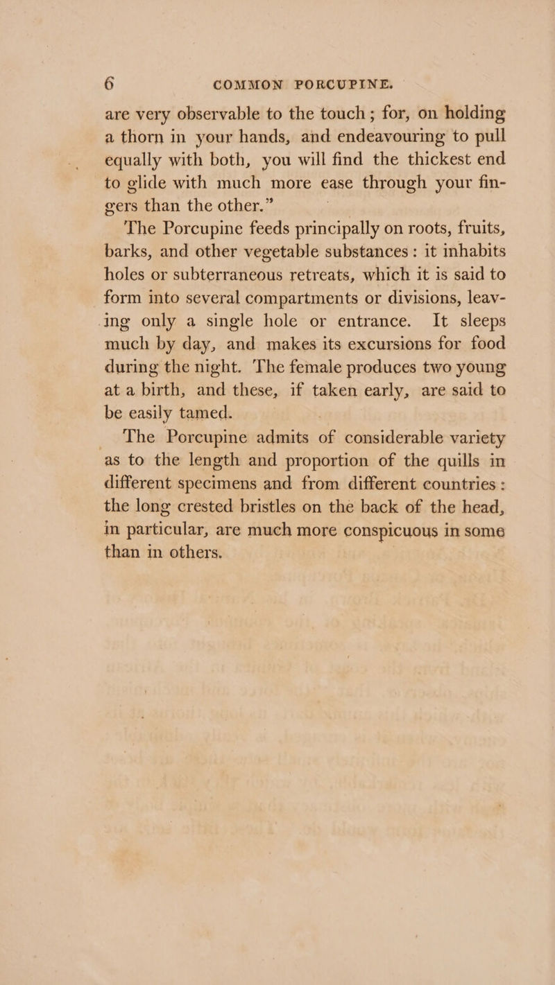 are very observable to the touch; for, on holding a thorn in your hands, and endeavouring to pull equally with both, you will find the thickest end to glide with much more ease through your fin- gers than the other.” The Porcupine feeds principally on roots, fruits, barks, and other vegetable substances : it inhabits holes or subterraneous retreats, which it is said to form into several compartments or divisions, leavy- ing only a single hole or entrance. It sleeps much by day, and makes its excursions for food during the night. The female produces two young at a birth, and these, if taken early, are said to be easily tamed. _ The Porcupine admits of considerable variety as to the length and proportion of the quills in different specimens and from different countries : the long crested bristles on the back of the head, in particular, are much more conspicuous in some than in others.