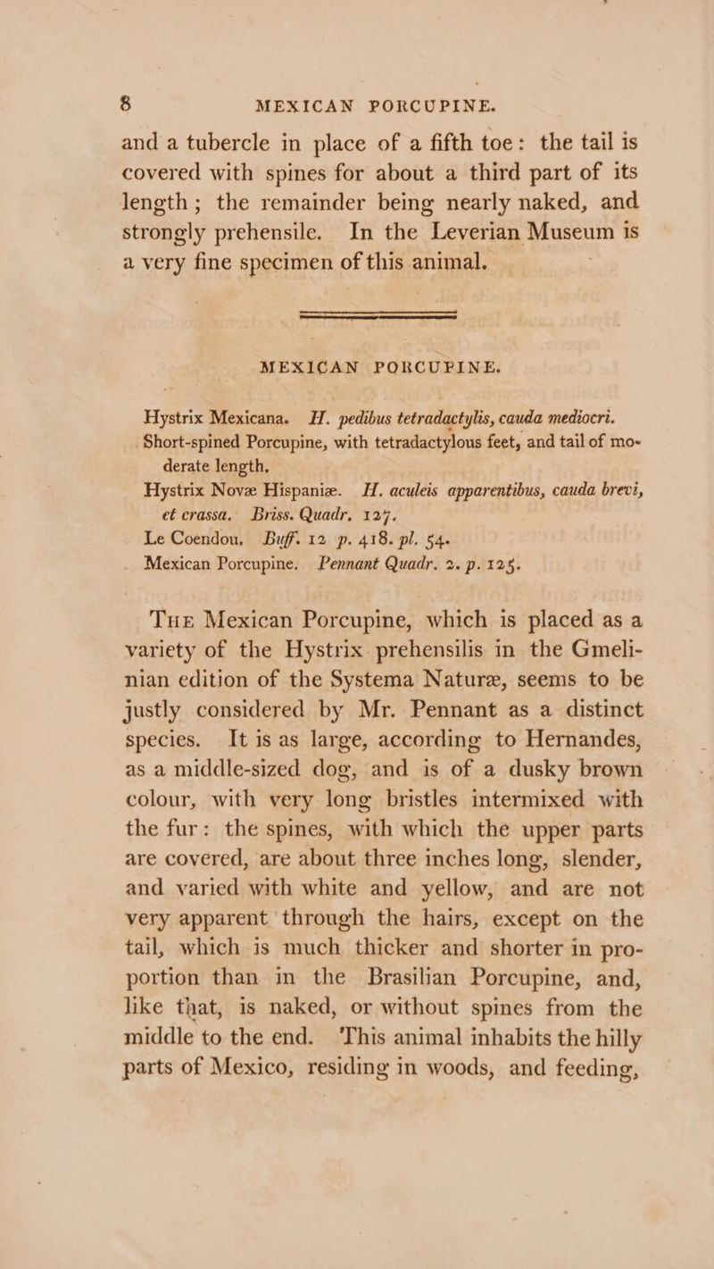 and a tubercle in place of a fifth toe: the tail is covered with spines for about a third part of its length ; the remainder being nearly naked, and strongly prehensile. In the Leverian Museum is a very fine specimen of this animal. MEXICAN PORCUPINE, Hystrix Mexicana. H. pedibus tetradactylis, cauda mediocri. Short-spined Porcupine, with tetradactylous feet, and tail of mo- derate length, Hystrix Nove Hispanie. H. aculeis apparentibus, cauda brevi, et crassa, Briss. Quadr, 127. Le Coendou, Buff. 12 p. 418. pl. 54. _ Mexican Porcupine. Pennant Quadr. 2. p. 125. Tue Mexican Porcupine, which is placed as a variety of the Hystrix prehensilis in the Gmeli- nian edition of the Systema Nature, seems to be justly considered by Mr. Pennant as a distinct species. It is as large, according to Hernandes, as a middle-sized dog, and is of a dusky brown colour, with very long bristles intermixed with the fur: the spines, with which the upper parts are covered, are about three inches long, slender, and varied with white and yellow, and are not very apparent through the hairs, except on the tail, which is much thicker and shorter in pro- portion than in the Brasilian Porcupine, and, like that, is naked, or without spines from the middle to the end. ‘This animal inhabits the hilly parts of Mexico, residing in woods, and feeding,