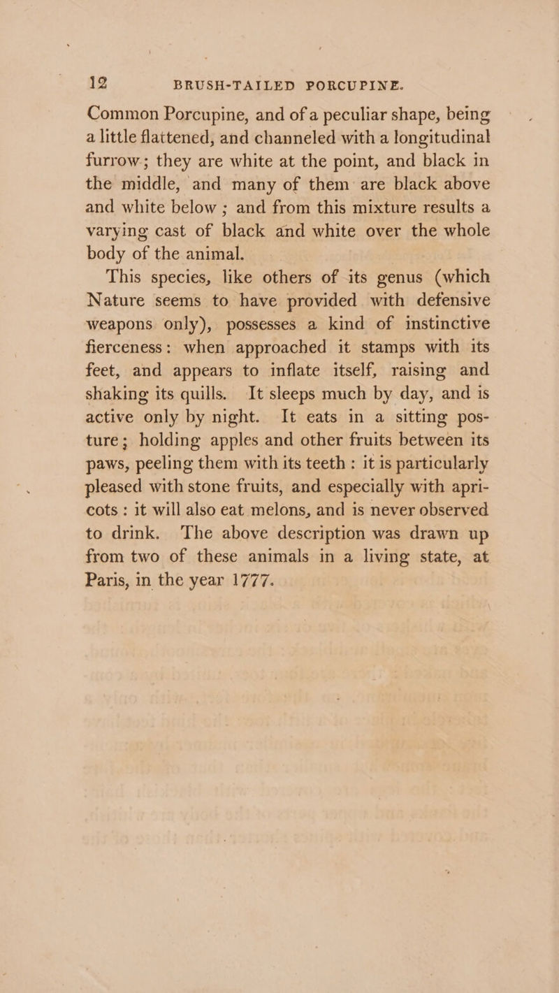 Common Porcupine, and of a peculiar shape, being a little flattened, and channeled with a longitudinal furrow; they are white at the point, and black in the middle, and many of them are black above and white below ; and from this mixture results a varying cast of black and white over the whole body of the animal. | This species, like others of its genus (which Nature seems to have provided with defensive weapons only), possesses a kind of instinctive fierceness: when approached it stamps with its feet, and appears to inflate itself, raisimg and shaking its quills. It sleeps much by day, and is active only by night. It eats in a sitting pos- ture; holding apples and other fruits between its paws, peeling them with its teeth : it is particularly pleased with stone fruits, and especially with apri- cots : it will also eat melons, and is never observed to drink. The above description was drawn up from two of these animals in a living state, at Paris, in the year 1777.