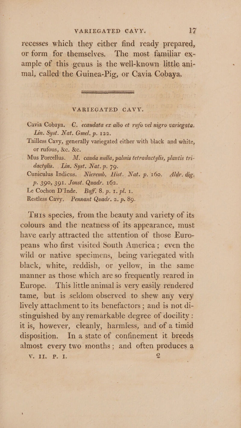 recesses which they either find ready prepared, or form for themselves, The most familiar ex- ample of this genus is the well-known little ani- mal, called’ the Guinea-Pig, or Cavia Cobaya. VARIEGATED CAVY. Cavia Cobaya. C. ecaudata ex albo et rufa vel nigro variegata. Lin. Syst. Nat. Gmel. p. 122. Tailless Cavy, generally variegated either with black and white, or rufous, &amp;c. &amp;c. _ Mus Porcellus. M. cauda nulla, palmis tetradactylis, plantis tri- dactylis. Lin. Syst. Nat. -p. 79. Cuniculus Indicus. Nieremb, Hist. Nat. P- 160. Aldr. dig. P- 39°, 391. Jonst. Quadr. 162. : te Cochon D'Inde. Buff. 8. p. 1. pl. 1. Restless Cavy. Pennant Quadr. 2. p. 89. Tuts species, from the beauty and variety of its colours and the neatness of its appearance, must have early attracted the attention of those Euro- peans who first visited South America; even the | wild or native specimens, being variegated with black, white, reddish, or yellow, in the same manner as those which are so frequently reared in Europe. This little animal is very easily rendered tame, but is seldom observed to shew any very lively attachment to its benefactors ; and is not di- stinguished by any remarkable degree of docility : it is, however, cleanly, harmless, and of a timid disposition. In a state of confinement it breeds almost every two months; and often produces a Me Abe Bods. Q