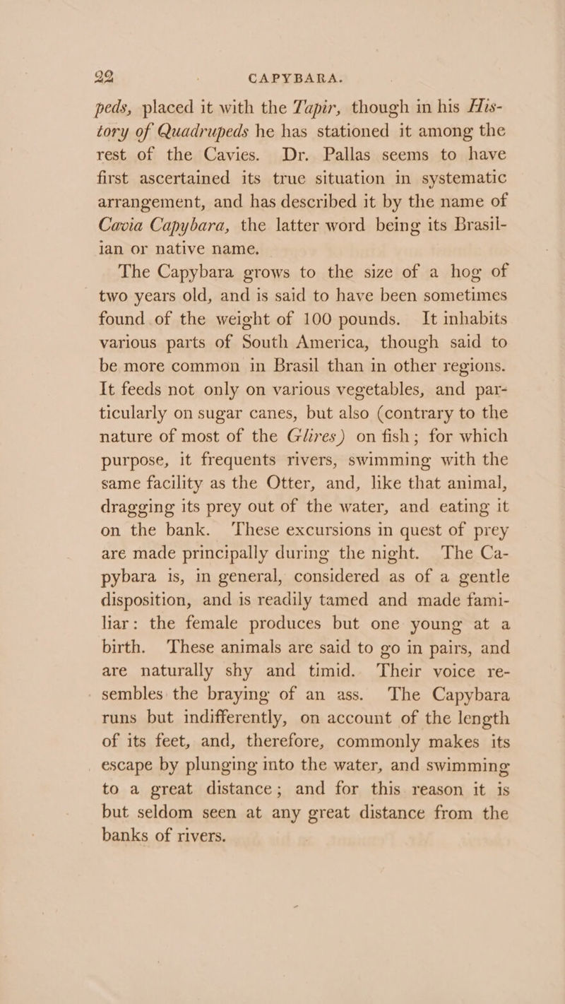 99 CAPYBARA. peds, placed it with the Tapir, though in his Ais- tory of Quadrupeds he has stationed it among the rest of the Cavies. Dr. Pallas seems to have first ascertained its true situation in systematic arrangement, and has described it by the name of Cavia Capybara, the latter word being its Brasil- ian or native name, — The Capybara grows to the size of a hog of _ two years old, and is said to have been sometimes found of the weight of 100 pounds. It inhabits various parts of South America, though said to be more common in Brasil than in other regions. It feeds not only on various vegetables, and par- ticularly on sugar canes, but also (contrary to the nature of most of the Gires) on fish; for which purpose, it frequents rivers, swimming with the same facility as the Otter, and, like that animal, dragging its prey out of the water, and eating it on the bank. These excursions in quest of prey are made principally during the night. The Ca- pybara is, in general, considered as of a gentle disposition, and is readily tamed and made fami- liar: the female produces but one young at a birth. These animals are said to go in pairs, and are naturally shy and timid. Their voice re- sembles the braying of an ass. The Capybara runs but indifferently, on account of the length of its feet, and, therefore, commonly makes its escape by plunging into the water, and swimming to a great distance; and for this reason it is but seldom seen at any great distance from the banks of rivers.