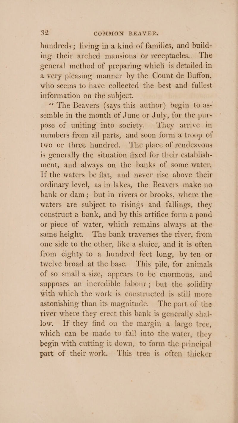 hundreds ; living in a kind of families, and build- ing their arched mansions or receptacles.. ‘The general method of preparing which is detailed in avery pleasing manner by the Count de Buffon, who seems to have collected the best and fullest information on the subject. «&lt;The Beavers (says this author) begin to as- semble in the month of June or July, for the pur- pose of uniting into society. ‘They arrive in numbers from all parts, and soon form a troop of two or three hundred. The place of rendezvous is generally the situation fixed for their establish- ment, and always on the banks of some water. If the waters be flat, and never rise above their ordinary level, as in lakes, the Beavers make no bank or dam; but in rivers or brooks, where the waters are subject to risings and fallings, they construct a bank, and by this artifice form a pond or piece of water, which remains always at the same height. The bank traverses the river, from one side to the other, like a sluice, and it is often from eighty to a hundred feet long, by ten or twelve broad at the base.. This pile, for animals of so small a size, appears to be enormous, and supposes an incredible labour; but the solidity with which the work is constructed is still more astonishing than its magnitude. The part of the river where they erect this bank is generally shal- low. If they find on the margin a large tree, which can be made to fall into the water, they begin with cutting it down, to form the principal part of their work. This tree is often thicker