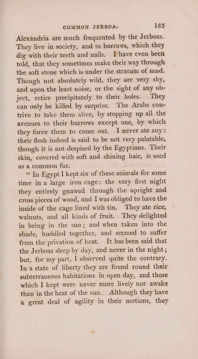 Alexandria are much frequented by the Jerboas. They live in society, and in burrows, which they dig with their teeth and nails. T have even been told, that they sometimes make their way through the soft stone which is under the stratum of sand. Though not absolutely wild, they are very shy, and upon the least noise, or the sight of any ob- ject, retire precipitately to their holes. They can only be killed by surprise. ‘The Arabs con- trive to take them alive, by stopping up all the avenues to their burrows except one, by which they force them to come out. I never ate any: their flesh indeed is said to be not very palatable, though it is not despised by the Egyptians. Their skin, covered with soft and shining hair, is used as a common fur. “In Egypt I kept six of these animals for some time in a large iron cage: the very first night they entirely gnawed through the upright and cross pieces of wood, and I was obliged to have the inside of the cage lined with tin. They ate rice, walnuts, and all kinds of fruit. . They delighted in being in the sun; and when taken into the shade, huddled together, and seemed to suffer from the privation of heat. It has been said that the Jerboas sleep by day, and never in the night ; but, for my part, I observed quite the contrary. In astate of liberty they are found round their subterraneous habitations in open day, and those which I kept were never more lively nor awake than in the heat of the sun. Although they have a great deal of agility in their motions, they