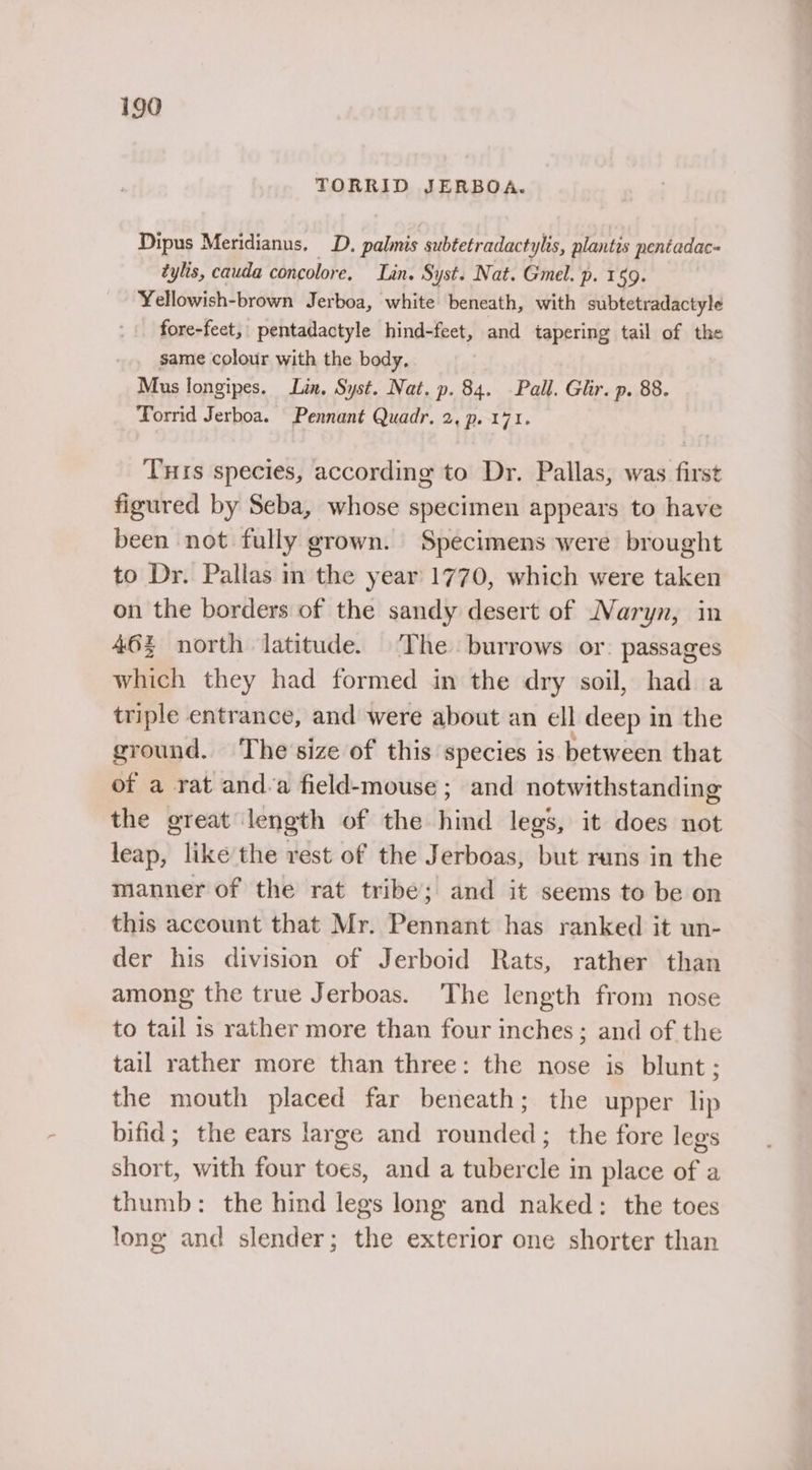 TORRID JERBOA. Dipus Meridianus. D. palmis subtetradactylis, plantis pentadac- tylis, cauda concolore, Lin. Syst. Nat. Gmel. p. 159. Yellowish-brown Jerboa, white beneath, with subtetradactyle fore-feet, pentadactyle hind-feet, and tapering tail of the same colour with the body, Mus longipes. Lin, Syst. Nat. p. 84. Pall. Glir. p. 88. Torrid Jerboa. Pennant Quadr. 2, p. 171. Turis species, according to Dr. Pallas, was first figured by Seba, whose specimen appears to have been not fully grown. Specimens were brought to Dr. Pallas in the year 1770, which were taken on the borders of the sandy desert of Maryn, in 46% north latitude. ‘The burrows or: passages which they had formed in the dry soil, had a triple entrance, and were about an ell deep in the ground. The'size of this species is between that of a rat and-a field-mouse ; and notwithstanding the great length of the hind legs, it does not leap, like the rest of the Jerboas, but runs in the manner of the rat tribe; and it seems to be on this account that Mr. Pennant has ranked it un- der his division of Jerboid Rats, rather than among the true Jerboas. The length from nose to tail 1s rather more than four inches ; and of the tail rather more than three: the nose is blunt; the mouth placed far beneath; the upper lip bifid; the ears large and rounded; the fore legs short, with four toes, and a tubercle in place of a thumb: the hind legs long and naked: the toes long and slender; the exterior one shorter than