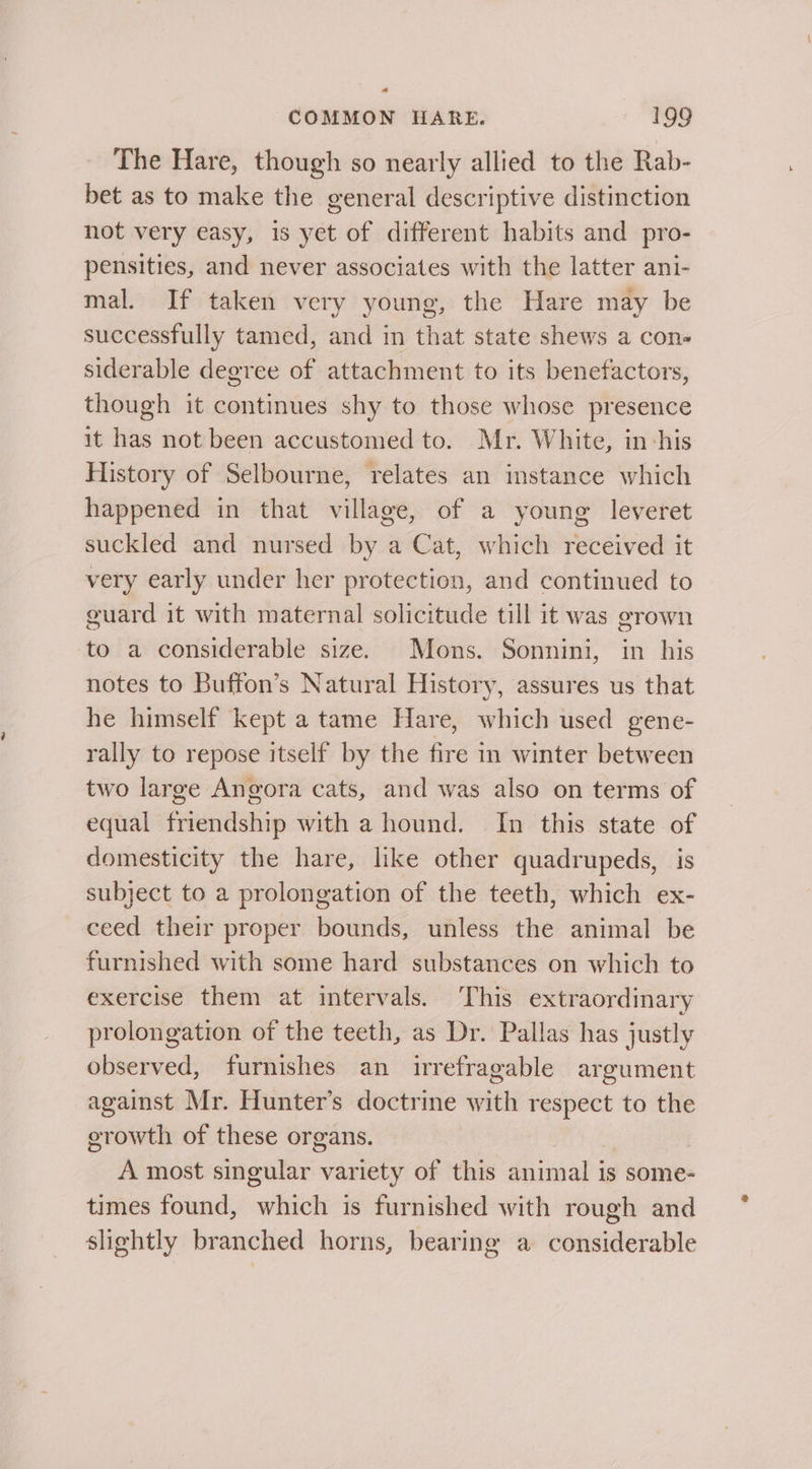 a COMMON HARE. 199 The Hare, though so nearly allied to the Rab- bet as to make the general descriptive distinction not very easy, is yet of different habits and pro- pensities, and never associates with the latter ani- mal. If taken very young, the Hare may be successfully tamed, and in that state shews a cons siderable degree of attachment to its benefactors, though it continues shy to those whose presence it has not been accustomed to. Mr. White, in-his History of Selbourne, relates an instance which happened in that village, of a young leveret suckled and nursed by a Cat, which received it very early under her protection, and continued to guard it with maternal solicitude till it was grown to a considerable size. Mons. Sonnini, in his notes to Buffon’s Natural History, assures us that he himself kept a tame Hare, which used gene- rally to repose itself by the fire in winter between two large Angora cats, and was also on terms of equal friendship with a hound. In this state of domesticity the hare, like other quadrupeds, is subject to a prolongation of the teeth, which ex- ceed their proper bounds, unless the animal be furnished with some hard substances on which to exercise them at intervals. ‘This extraordinary prolongation of the teeth, as Dr. Pallas has justly observed, furnishes an irrefragable argument against Mr. Hunter’s doctrine with respect to the erowth of these organs. A most singular variety of this animal is some- times found, whieh is furnished with rough and slightly branched horns, bearing a considerable