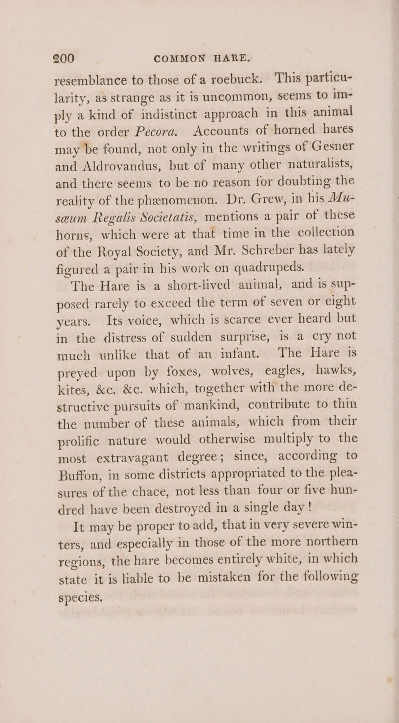 resemblance to those of a roebuck. This particu- larity, as strange as it is uncommon, seems to im- ply a kind of indistinct approach in this animal to the order Pecora. Accounts of horned hares may be found, not only in the writings of Gesner and Aldrovandus, but of many other naturalists, and there seems to be no reason for doubting the reality of the phenomenon. Dr. Grew, in his Mu- seum Regalis Societatis, mentions a pair of these horns, which were at that time in the collection of the Royal Society, and Mr. Schreber has lately figured a pair in his work on quadrupeds. The Hare is a short-lived animal, and 1s sup- posed rarely to exceed the term of seven or eight years. Its voice, which is scarce ever heard but in the distress of sudden surprise, is a cry not much unlike that of an infant. The Hare 1s preyed upon by foxes, wolves, eagles, hawks, kites, &amp;c. &amp;c. which, together with the more de- structive pursuits of mankind, contribute to thin the number of these animals, which from their prolific nature would otherwise multiply to the most extravagant degree; since, according to Buffon, in some districts appropriated to the plea- sures of the chace, not less than four or five hun- dred have been destroyed in a single day! It may be proper to add, that in very severe win- ters, and especially in those of the more northern regions, the hare becomes entirely white, in which state it is liable to be mistaken for the following species,