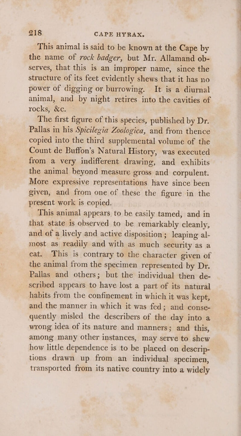 This animal is said to be known at the Cape by the name of rock badger, but Mr. Allamand ob- serves, that this is an improper name, since the structure of its feet evidently shews that it has no power of digging or burrowing. It is a diurnal animal, and by night retires into the cavities of rocks, &amp;c. The first figure of this species, published byl Dr. Pallas in his Spicilegia Zoologica, and from thence copied into the third supplemental volume of the Count de Buffon’s Natural History, was executed from a very indifferent drawing, and exhibits the animal beyond measure gross and corpulent. More expressive representations have since been given, and from one of these the figure in the present work 1s copied. _ This animal appears to be easily tamed, and in that state is observed to be remarkably cleanly, and of a lively and active disposition ; leaping al- most as readily and with as much security as a eat. This is contrary to the character given of the animal from the specimen represented by Dr. Pallas and others; but the individual then de- scribed appears to have lost a part of its natural habits from the confinement in which it was kept, and the manner in which it was fed; and conse- quently misled the describers of the day into a wrong idea of its nature and manners; and this, among many other instances, may serve to shew how little dependence is to be placed on descrip- tions drawn up from an individual specimen, transported from its native country into a widely