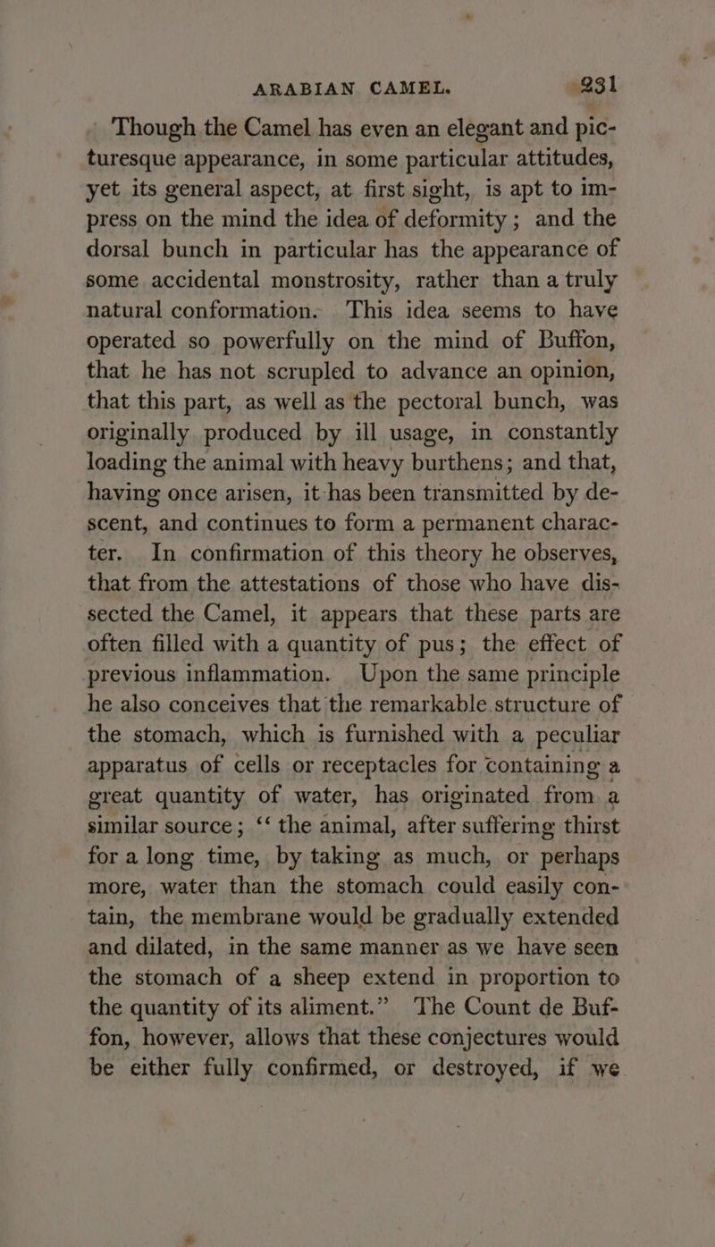 _ Though the Camel has even an elegant and pic- turesque appearance, in some particular attitudes, yet its general aspect, at first sight, is apt to im- press on the mind the idea of deformity ; and the dorsal bunch in particular has the appearance of some accidental monstrosity, rather than a truly natural conformation. This idea seems to have operated so powerfully on the mind of Buffon, that he has not scrupled to advance an opinion, that this part, as well as the pectoral bunch, was originally produced by ill usage, in constantly loading the animal with heavy burthens; and that, having once arisen, it has been transmitted by de- scent, and continues to form a permanent charac- ter. In confirmation of this theory he observes, that from the attestations of those who have dis- sected the Camel, it appears that these parts are often filled with a quantity of pus; the effect of previous inflammation. Upon the same principle he also conceives that the remarkable structure of - the stomach, which is furnished with a peculiar apparatus of cells or receptacles for containing a great quantity of water, has originated from. a similar source; ‘‘ the animal, after suffering thirst for a long time, by taking as much, or perhaps more, water than the stomach could easily con- tain, the membrane would be gradually extended and dilated, in the same manner as we have seen the stomach of a sheep extend in proportion to the quantity of its aliment.” The Count de Buf- fon, however, allows that these conjectures would be either fully confirmed, or destroyed, if we