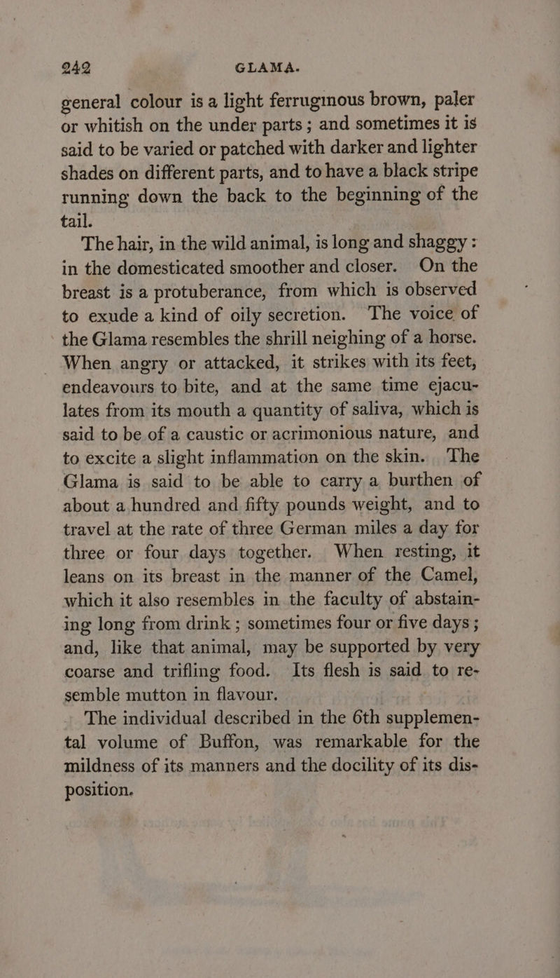 949 GLAMA. general colour is a light ferrugmnous brown, paler or whitish on the under parts ; and sometimes it is said to be varied or patched with darker and lighter shades on different parts, and to have a black stripe running down the back to the beginning of the tail. The hair, in the wild animal, is long and shaggy : in the domesticated smoother and closer. On the breast is a protuberance, from which is observed to exude a kind of oily secretion. The voice of the Glama resembles the shrill neighing of a horse. When angry or attacked, it strikes with its feet, endeavours to bite, and at the same time ejacu- lates from its mouth a quantity of saliva, which is said to be of a caustic or acrimonious nature, and to excite a slight inflammation on the skin. The Glama is said to be able to carry a burthen of about a hundred and fifty pounds weight, and to travel at the rate of three German miles a day for three or four days together. When resting, it leans on its breast in the manner of the Camel, which it also resembles in the faculty of abstain- ing long from drink ; sometimes four or five days ; and, like that animal, may be supported by very coarse and trifling food. Its flesh is said to re- semble mutton in flavour. The individual described in the 6th supplemen- tal volume of Buffon, was remarkable for the mildness of its manners and the docility of its dis- position.