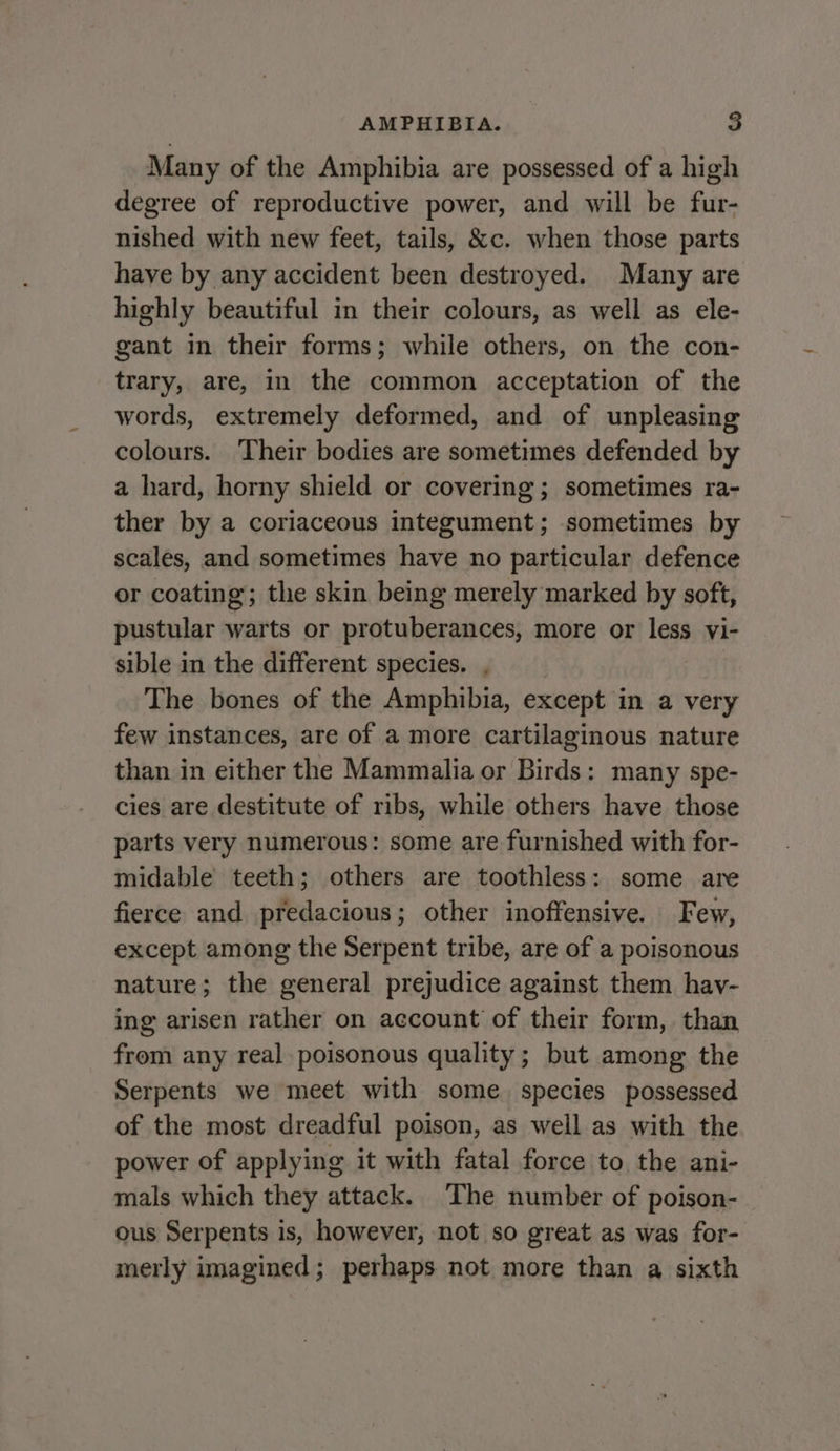 Many of the Amphibia are possessed of a high degree of reproductive power, and will be fur- nished with new feet, tails, &amp;c. when those parts have by any accident been destroyed. Many are highly beautiful in their colours, as well as ele- gant in their forms; while others, on the con- trary, are, in the common acceptation of the words, extremely deformed, and of unpleasing colours. ‘Their bodies are sometimes defended by a hard, horny shield or covering; sometimes ra- ther by a coriaceous integument; sometimes by scales, and sometimes have no particular defence or coating; the skin being merely marked by soft, pustular warts or protuberances, more or less vi- sible in the different species. , The bones of the Amphibia, except in a very few instances, are of a more cartilaginous nature than in either the Mammalia or Birds: many spe- cies are destitute of ribs, while others have those parts very numerous: some are furnished with for- midable teeth; others are toothless: some are fierce and predacious; other inoffensive. Few, except among the Serpent tribe, are of a poisonous nature; the general prejudice against them hav- ing arisen rather on account of their form, than from any real poisonous quality; but among the Serpents we meet with some. species possessed of the most dreadful poison, as well as with the power of applying it with fatal force to the ani- mals which they attack. The number of poison- ous Serpents is, however, not so great as was for- merly imagined; perhaps not more than a sixth