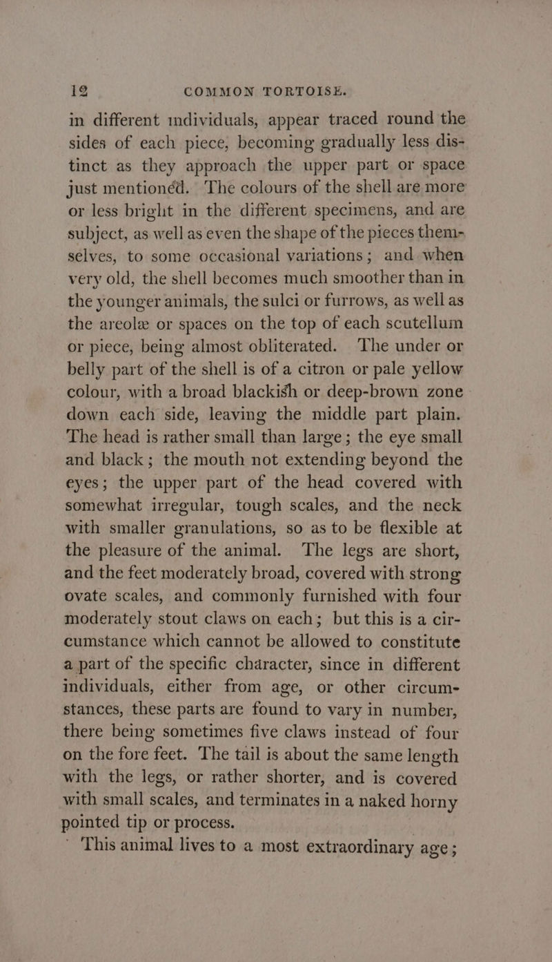 in different mdividuals, appear traced round the sides of each piece, becoming gradually less dis- tinct as they approach the upper part or space just mentionéd. The colours of the shell are more or less bright in the different specimens, and are subject, as well as even the shape of the pieces them- selves, to some occasional variations; and when very old, the shell becomes much smoother than in the younger animals, the sulci or furrows, as well as the areole or spaces on the top of each scutellum or piece, being almost obliterated. ‘The under or belly part of the shell is of a citron or pale yellow colour, with a broad blackish or deep-brown zone down each side, leaving the middle part plain. The head is rather small than large; the eye small and black; the mouth not extending beyond the eyes; the upper part of the head covered with somewhat irregular, tough scales, and the neck with smaller granulations, so as to be flexible at the pleasure of the animal. The legs are short, and the feet moderately broad, covered with strong ovate scales, and commonly furnished with four moderately stout claws on each; but this is a cir- cumstance which cannot be allowed to constitute a part of the specific character, since in different individuals, either from age, or other circum- stances, these parts are found to vary in number, there being sometimes five claws instead of four on the fore feet. The tail is about the same length with the legs, or rather shorter, and is covered with small scales, and terminates in a naked horny pointed tip or process. ' This animal lives to a most extraordinary age ;