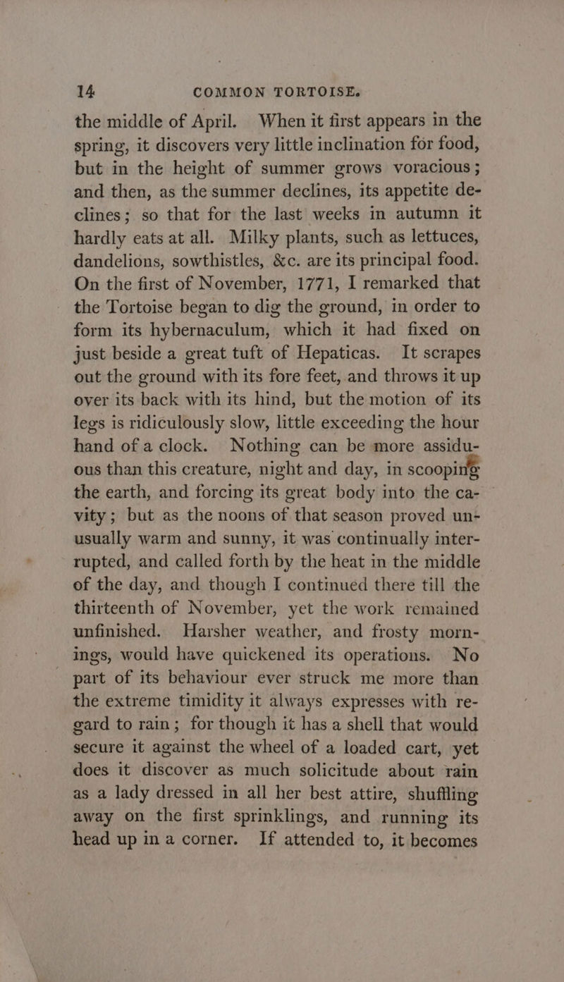 the middle of April. When it first appears in the spring, it discovers very little inclination for food, but in the height of summer grows voracious ; and then, as the summer declines, its appetite de- clines; so that for the last weeks in autumn it hardly eats at all. Milky plants, such as lettuces, dandelions, sowthistles, &amp;c. are its principal food. On the first of November, 1771, I remarked that the Tortoise began to dig the ground, in order to form its hybernaculum, which it had fixed on just beside a great tuft of Hepaticas. It scrapes out the ground with its fore feet, and throws it up oyer its back with its hind, but the motion of its legs is ridiculously slow, little exceeding the hour hand of a clock. Nothing can be more assidu- ous than this creature, night and day, in scooping the earth, and forcing its great body into the ca- vity ; but as the noons of that season proved un- usually warm and sunny, it was continually inter- rupted, and called forth by the heat in the middle of the day, and though I contmued there till the thirteenth of November, yet the work remained unfinished. Harsher weather, and frosty morn- ings, would have quickened its operations. No part of its behaviour ever struck me more than the extreme timidity it always expresses with re- gard to rain; for though it has a shell that would secure it against the wheel of a loaded cart, yet does it discover as much solicitude about rain as a lady dressed in all her best attire, shuffling away on the first sprinklings, and running its head up ina corner. If attended to, it becomes