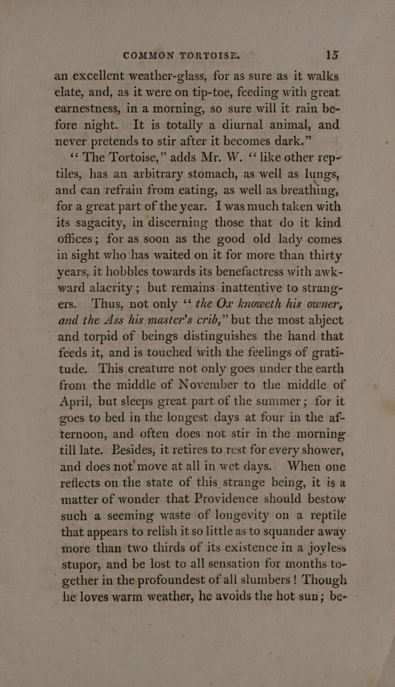 an excellent weather-glass, for as sure as it walks elate, and, as it were on tip-toe, feeding with great earnestness, in a morning, so sure will it rain be- fore night. It is totally a diurnal animal, and never pretends to stir after it becomes dark.” ‘‘ The Tortoise,” adds Mr. W. ‘‘ like other rep- tiles, has an arbitrary stomach, as well as lungs, and can refrain from eating, as well as breathing, for a great part of the year. I was much taken with its sagacity, in discerning those that do it kind offices; for as soon as the good old lady comes in sight who has waited on it for more than thirty years, it hobbles towards its benefactress with awk- ward alacrity ; but remains inattentive to strang- ers. Thus, not only ‘‘ the Ox knoweth his owner, and the Ass his master’s crib,” but the most abject and torpid of beings distinguishes the hand that feeds it, and is touched with the feelings of grati- tude. This creature not only goes under the earth from the middle of November to the middle of April, but sleeps great part of the summer ; for it goes to bed in the longest days at four in the af- ternoon, and often does not stir in the morning. till late. Besides, it retires to rest for every shower, and does not’ move at all in wet days. When one reflects on the state of this strange being, it is a matter of wonder that Providence should bestow such a seeming waste of longevity on a reptile that appears to relish it so little as to squander away more than two thirds of its existence in a joyless stupor, and be lost to all sensation for months to- gether in the profoundest of all slumbers ! Though he loves warm weather, he avoids the hot sun; be-