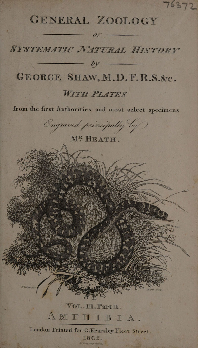 1 3 at ee aa | 763.92. GENERAL ZOCLOGY oy: SYSTEMATIC NATURAL HISTORY’ by GEORGE SHAW, M.D.F.R.S.&amp;c. ‘ WITH PLATES from the first Authorities and most select specimens : Ongrave frrcnedialiy ; ty ) ME HEATH. ~VOL.IN. Parti. AMPHIBIA.: London Printed for G-Kearsley, Fleet Street. 1802. SI Meole crip. Strand, — wn » a