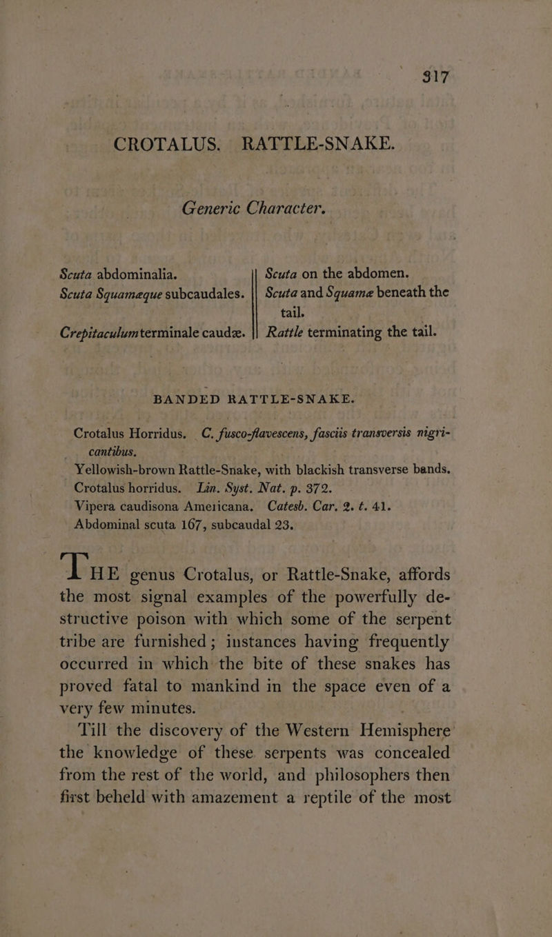 CROTALUS. RATTLE-SNAKE. Generic Character. Scuta abdominalia. Scuta on the abdomen. : Scuta Squameque subcaudales. || Scuta and Squame beneath the tail. Crepitaculumterminale caudz. || Rattle terminating the tail. BANDED RATTLE-SNAKE. Crotalus Horridus. _C. fusco-flavescens, fasciis transversis nigri- — cantibus. Yellowish-brown Rattle-Snake, with blackish transverse bands. Crotalus horridus. Lan. Syst. Nat. p. 372. Vipera caudisona Americana. Catesb. Car, 2. t. 41. Abdominal scuta 167, subcaudal 23. ‘Tue genus Crotalus, or Rattle-Snake, affords the most signal examples of the powerfully de- structive poison with which some of the serpent tribe are furnished; instances having frequently occurred in which the bite of these snakes has proved fatal to mankind in the space even of a very few minutes. Till the discovery of the Western Hemisphere the knowledge of these. serpents was concealed from the rest of the world, and philosophers then first beheld with amazement a reptile of the most