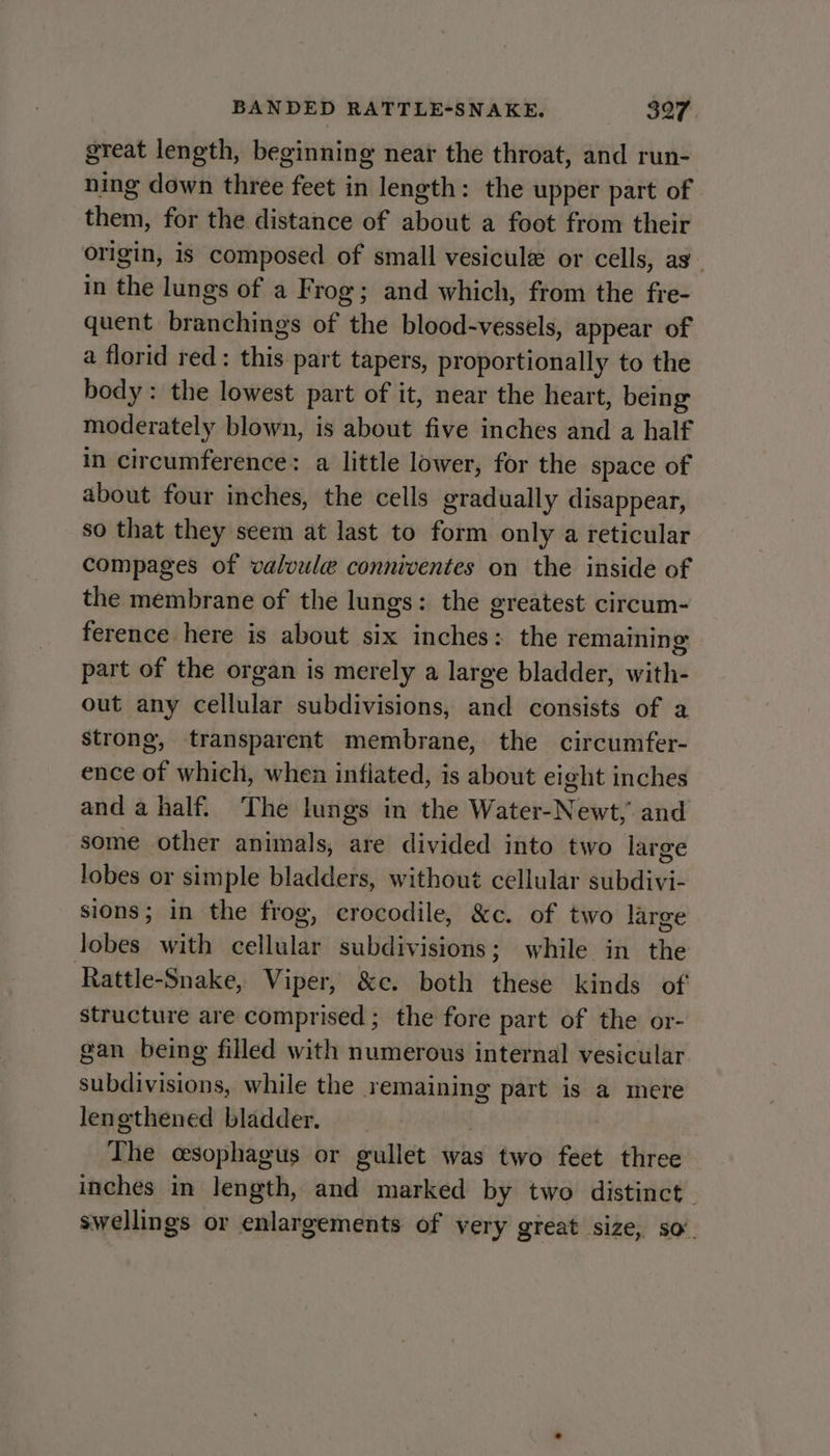 great length, beginning near the throat, and run- ning down three feet in length: the upper part of them, for the distance of about a foot from their origin, is composed of small vesicule or cells, as in the lungs of a F rog; and which, from the fre- quent branchings of the blood-vessels, appear of a florid red: this part tapers, proportionally to the body: the lowest part of it, near the heart, being moderately blown, is about five inches and a half in circumference: a little lower, for the space of about four inches, the cells gradually disappear, so that they seem at last to form only a reticular compages of valvule conniventes on the inside of the membrane of the lungs: the greatest circum- ference here is about six inches: the remaining part of the organ is merely a large bladder, with- out any cellular subdivisions, and consists of a strong, transparent membrane, the circumfer- ence of which, when inflated, is about eight inches and a half. The lungs in the Water-Newt, and some other animals, are divided into two large lobes or simple bladders, without cellular subdivi- sions; in the frog, crocodile, &amp;c. of two large lobes with cellular subdivisions; while in the Rattle-Snake, Viper, &amp;c. both these kinds of structure are comprised; the fore part of the or- gan being filled with numerous internal vesicular subdivisions, while the remaining part is a mere lengthened bladder. | The esophagus or gullet was two feet three inches in length, and marked by two distinct. swellings or enlargements of very great size, so.