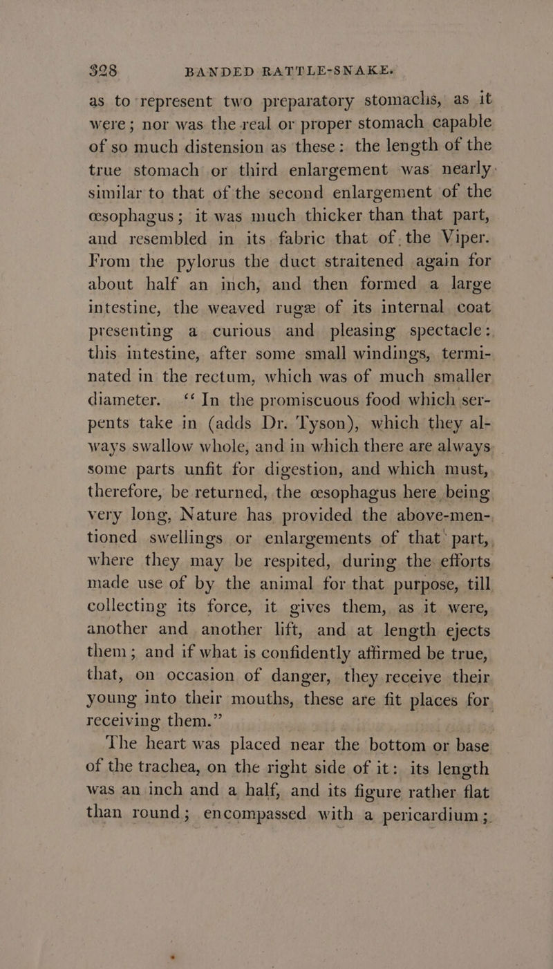 as to represent two preparatory stomaclis, as it were; nor was the real or proper stomach capable of so much distension as these: the length of the true stomach or third enlargement was nearly. similar to that of the second enlargement of the cesophagus ; it was much thicker than that part, and resembled in its. fabric that of, the Viper. From the pylorus the duct straitened again for about half an inch, and then formed a large intestine, the weaved ruge of its internal coat presenting a. curious and pleasing spectacle: this intestine, after some small windings, termi- nated in the rectum, which was of much smaller diameter. ‘‘ In the promiscuous food which ser- pents take in (adds Dr. Tyson), which they al- ways swallow whole, and in which there are always: some parts unfit for digestion, and which must, therefore, be returned, the oesophagus here being very long, Nature has provided the above-men- tioned swellings or enlargements of that’ patt,, where they may be respited, during the efforts made use of by the animal for that purpose, till collecting its force, it gives them, as it were, another and another lift, and at length ejects them; and if what is confidently affirmed be true, that, on occasion of danger, they receive their young into their mouths, these are fit places for. receiving them.” The port was placed near the bottom c or vote of the trachea, on the right side of it: its length was an inch and a half, and its figure rather flat than round; encompassed with a pericardium;