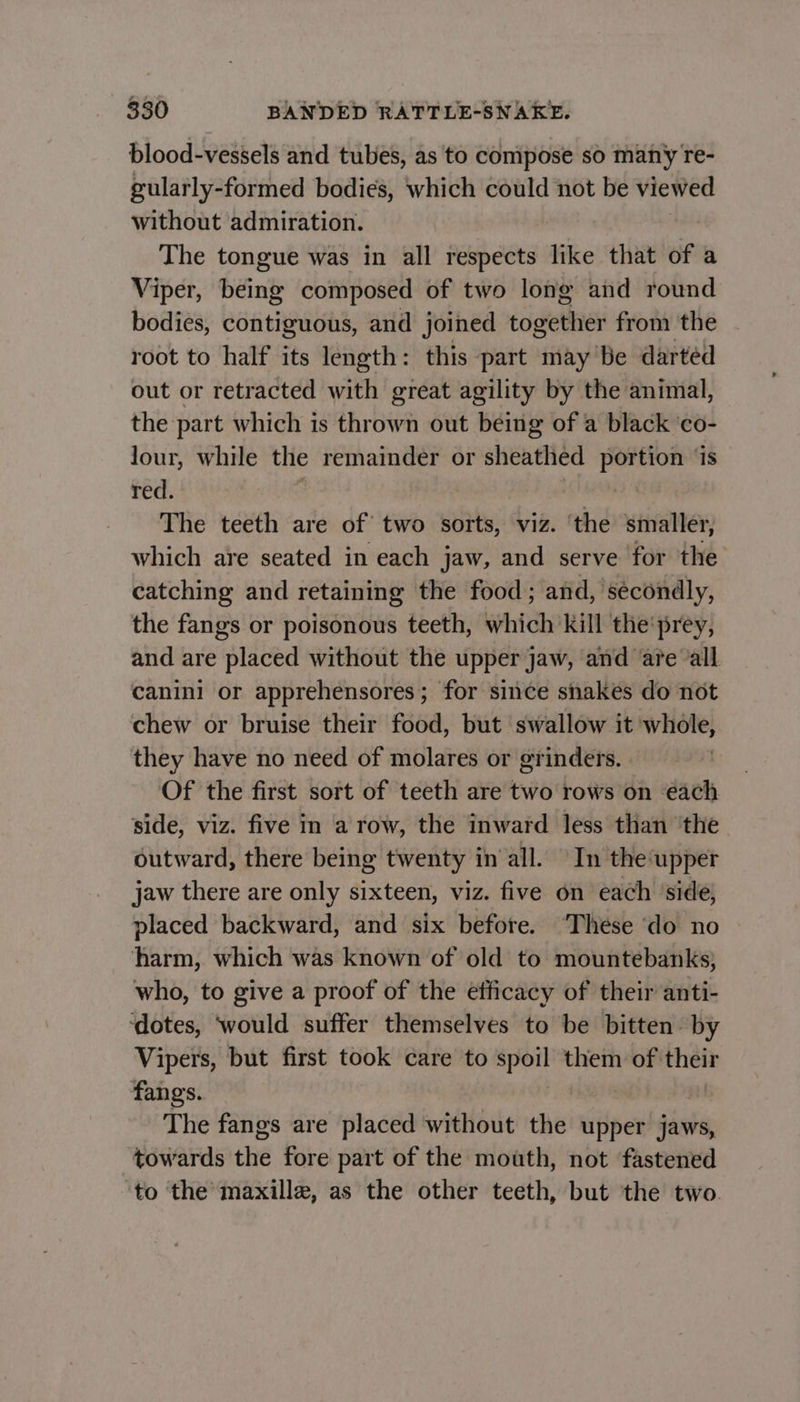 blood-vessels and tubes, as to compose so many re- gularly-formed bodies, which could not be viewed without admiration. The tongue was in all respects like that of a Viper, being composed of two long and round bodies, contiguous, and joined together from the root to half its length: this part may Be darted out or retracted with great agility by the animal, the part which is thrown out being of a black ‘co- lour, while the remainder or sheathed portion ‘is red. ; | | The teeth are of two sorts, viz. ‘the smaller, which are seated in each jaw, and serve for the catching and retaining the food; and, sécondly, the fangs or poisonous teeth, which kill the'prey, and are placed without the upper jaw, and are ‘all canini or apprehensores; for since snakes do not chew or bruise their food, but swallow it whole, they have no need of molares or grinders. Of the first sort of teeth are two rows on each side, viz. five in a row, the inward less than the outward, there being twenty in‘all. In the‘upper jaw there are only sixteen, viz. five on each ‘side, placed backward, and six before. ‘These ‘do no harm, which was known of old to mountebanks; who, to give a proof of the éfficacy of their anti- ‘dotes, ‘would suffer themselves to be bitten: by Vipers, but first took care to si them of theit fangs. The fangs are placed without the upper jaws, towards the fore part of the mouth, not fastened to ‘the maxille, as the other teeth, but the two.