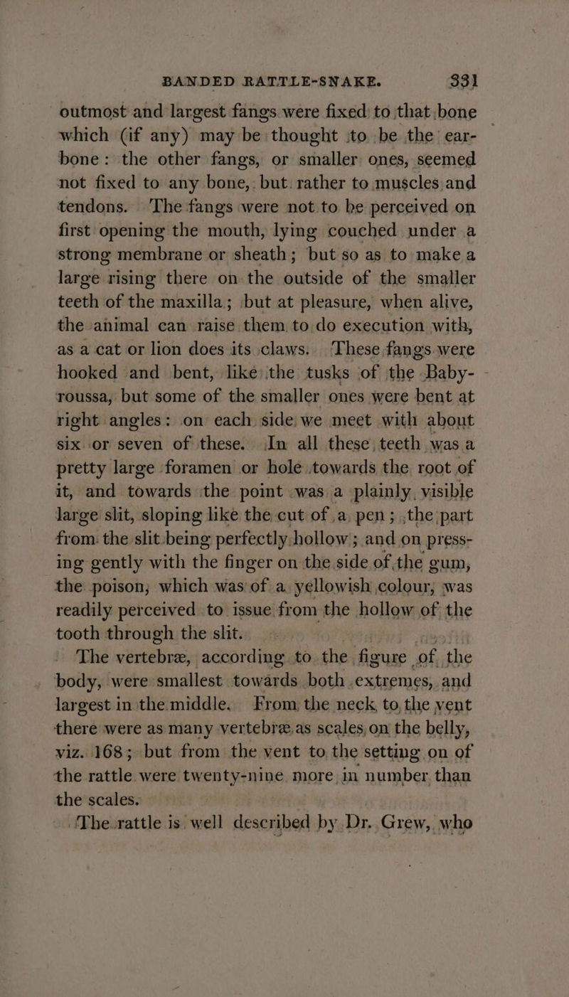 outmost and largest fangs were fixed) to that bone which (if any) may be thought to -be the ear- bone: the other fangs, or smaller ones, seemed not fixed to any bone,: but. rather to muscles and tendons. The fangs were not to be perceived on first opening the mouth, lying couched under a strong membrane or sheath; but so as to make a large rising there on the outside of the smaller teeth of the maxilla; but at pleasure, when alive, the animal can raise them. to. do execution with, as a cat or lion does its claws. These fangs. were hooked and bent, like) the tusks of the Baby- - roussa, but some of the smaller ones were bent at right angles: on each side, we meet with about six or seven of these. Im all these, teeth was a pretty large foramen or hole towards the root of it, and towards the point was a plainly, visible large slit, sloping like the cut of ,a, pen ; ,the part fiscal the slit being perfectly, hollow; and on press- ing gently with the finger on the side of the gum, the poison; which was'of a yellowish colour, was readily perceived to issue from the hollow of the tooth through the slit. The ese according to the figure of the body, were smallest towards both extremes, and largest inthe middle. From, the neck, to, the vent there were as many vertebre,as scales, on the belly, viz. 168; but from the vent to the setting on of the rattle were twenty-nine. more in number, than the scales. ‘The-rattle is well described by Dr. Grew, who