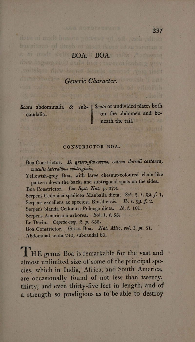 BOA. BOA. Generic Character. Scuta abdominalia &amp; sub- || Scuta or undivided plates both _caudalia, — ‘| on the abdomen and be- neath the tail. CONSTRICTOR BOA. Boa Constrictor. B. griseo-flavescens, catena dorsali castanea, maculis lateralibus subtrigonis. Yellowish-grey Boa, with large chesnut-coloured chain-like pattern down the back, and subtrigonal spots on the sides. Boa Constrictor. Lin. Syst. Nat. p. 373. Serpens Ceilonica spadicea Manballa dicta. Seb. 2. t. 99.f. 1. Serpens excellens ac speciosa Brasiliensis. Ib. t. 99. f. 2. Serpens blanda Ceilonica Polonga dicta. Ib. t. 101. Serpens Americana arborea, Seb. 1. ¢. 53. Le Devin. Cepede ovip. 2. p. 338. | Boa Constrictor. Great Boa. Nat. Misc. vol. 2. pl. 51. Abdominal scuta 240, subcaudal 60. Tue genus Boa is remarkable for the vast and almost unlimited size of some of the principal spe- cies, which in India, Africa, and South America, are occasionally found of not less than twenty, thirty, and even thirty-five feet in length, and of a strength so prodigious as to be able to destroy