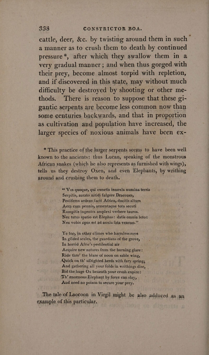 cattle, deer, &amp;c. by twisting around them in such &gt; a manner as to crush them to death by continued pressure *, after which they swallow them in a very gradual manner ; and when thus gorged with their prey, become almost torpid with repletion, and if discovered in this state, may without much difficulty be destroyed by shooting or other me-— thods. There is reason to suppose that these gi- gantic serpents are become less common now than some centuries backwards, and that in proportion as cultivation and population have increased, the larger species of noxious animals have been ex- * This practice of the larger serpents seems to have been well known to the ancients: thus Lucan, speaking of the monstrous African snakes (which he also represents as furnished with wings), tells us they destroy Oxen, and even Elephants, by writhing around and crushing them to death. | *¢ Vos quoque, qui cunctis innoxta numina terris Serpitis, aurato nitidi fulgore Dracones, Pestiferos ardens facit Africa, ducitis altum Aera cum pennis, armentaque tota secuti Rumpitis ingentes amplexi verbere tauros. Nec tutus spatio est Elephas: datis omnia letox Nec vobis opus est ad noxia fata veneno.”’ Ye too, in other climes who harmless rove In gilded scales, the guardians of the grove, » In horrid Afric’s pestilential air Acquire new natures from the burning glare : Ride thro’ the blaze of noon on sable wing, -Quick on th’ affrighted herds with fury spring; And gathering all your folds in writhings dire, _ Bid the huge Ox beneath your crush expire: Th’ enormous Elephant by force can slay, And need no poison to secure your prey. The tale of Laocoon in Virgil might he also adduced as an example of this particular. st