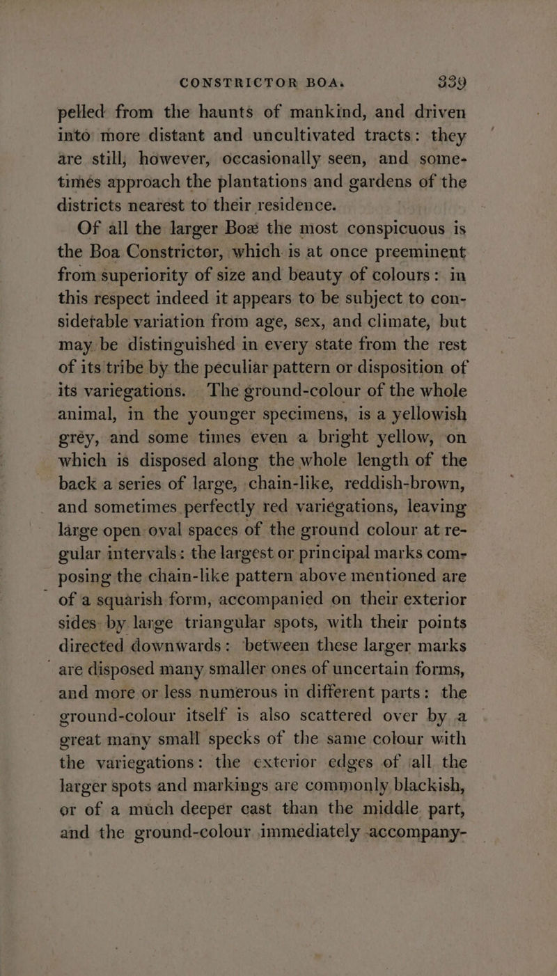 pelled from the haunts of mankind, and driven into more distant and uncultivated tracts: they are still; however, occasionally seen, and some- times approach the plantations and gardens of the districts nearest to their residence. Of all the larger Bow the most conspicuous is the Boa Constrictor, which is at once preeminent from superiority of size and beauty of colours: in this respect indeed it appears to be subject to con- siderable variation from age, sex, and climate, but may be distinguished in every state from the rest of its tribe by the peculiar pattern or disposition of its variegations. The ground-colour of the whole animal, in the younger specimens, is a yellowish gréy, and some times even a bright yellow, on which is disposed along the whole length of the back a series of large, chain-like, reddish-brown, and sometimes perfectly red variégations, leaving large open oval spaces of the ground colour at re- gular intervals: the largest or principal marks com- posing the chain-like pattern above mentioned are of a squarish form, accompanied on their exterior sides by large triangular spots, with their points directed downwards: ‘between these larger marks - are disposed many smaller ones of uncertain forms, and more or less numerous in different parts: the ground-colour itself is also scattered over by a great many small specks of the same colour with the variegations: the exterior edges of all the larger spots and markings are commonly blackish, er of a much deeper cast than the middle. part, and the ground-colour immediately accompany-