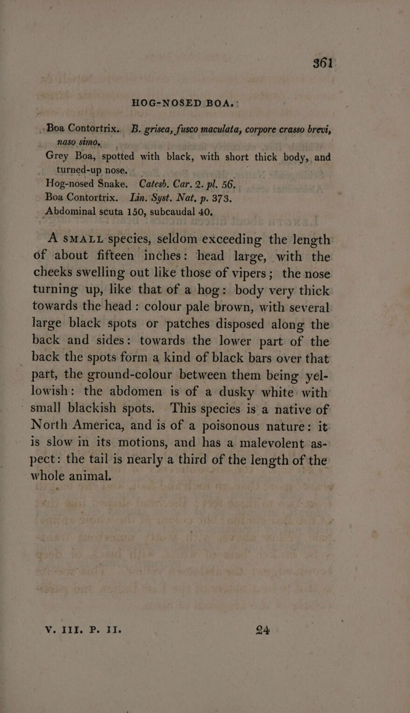 HOG-NOSED BOA. : Boa Contortrix.. B. grisea, fusco maculata, corpore crasso brevi, Naso Simo. Grey Boa, spotted with black, with short thick body, and turned-up nose. Hog-nosed Snake. Catesh, Car, 2. pl. 56, Boa Contortrix. Lin. Syst. Nat, p. 373. Abdominal scuta 150, subcaudal 40, A SMALL species, seldom exceeding the length: of about fifteen inches: ‘head large, with the cheeks swelling out like those of vipers; the nose turning up, like that of a hog: body very thick towards the head : colour pale brown, with several large black spots or patches disposed along the back and sides: towards the lower part of the _ back the spots form a kind of black bars over that part, the ground-colour between them being yel- lowish : the abdomen is of a dusky white with small blackish spots. This species is a native of North America, and is of a poisonous nature: it: is slow in its motions, and has a malevolent as- pect: the tail is nearly a third of the length of the whole animal. V. III. P. II. : | 24