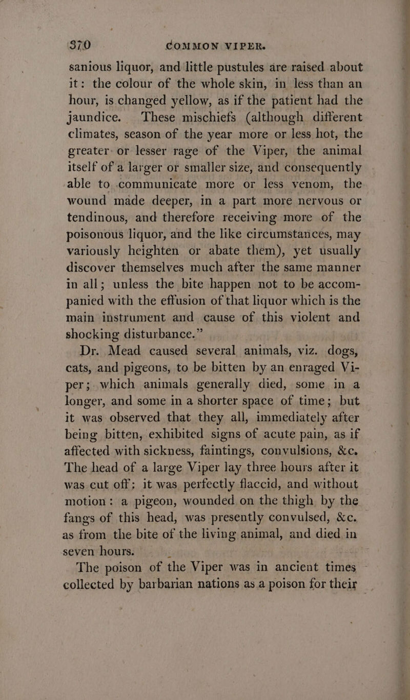 sanious liquor, and little pustules are raised about it: the colour of the whole skin, in less than an hour, is. changed yellow, as if the patient had the jaundice. These mischiefs (although different climates, season of the year more or less hot, the greater or lesser rage of the Viper, the animal itself of a larger or smaller size, and consequently able to communicate more or less venom, the wound made deeper, in a part more nervous or tendinous, and therefore receiving more of the poisonous liquor, and the like circumstances, may variously heighten or abate them), yet usually discover themselves much after the same manner in all; unless the bite happen not to be accom- panied with the effusion of that liquor which is the main instrument and cause of this violent and shocking disturbance.” Dr. Mead caused several animals, viz. dogs, cats, and pigeons, to be bitten by an enraged Vi- per; which animals generally died, some in a longer, and some in a shorter space of time; but it was observed that they all, immediately after being bitten, exhibited signs of acute pain, as if imatad with sickness, faintings, convulsions, &amp;c. was cut off; it was perfectly flaccid, and without fangs of this head, was presently convulsed, &amp;c. as from the bite of the living animal, and died in seven hours.