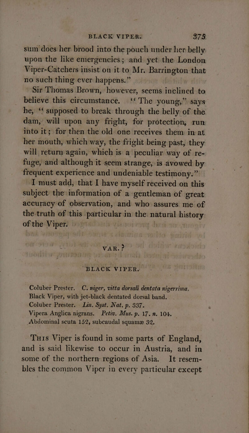 sum does her brood into the pouch under her belly upon the like emergencies; and yet the London Viper-Catchers insist on it to Mr. Barrington that no such thing ever happens.” | - Sir Thomas Brown, however, seems abe to believe this circumstance. ‘‘ The young,” says he, ‘* supposed to break through the belly of the dam, will upon any fright, for protection, run into it; for then the old one receives them in:at her mouth, which way, the fright being past, they will return again, which is a peculiar way of re- fuge, and although it seem strange, is avowed by frequent experience and undeniable testimony.” I must add, that I have myself received on this subject the information of a gentleman of great accuracy of observation, and who assures me of the truth of ‘this raking im the. natural gules of ve Viper. al tb | : | VAR.? “BLACK VIPER. Coluber Prester. C. niger, vitta dorsali dentata nigerrima, Black Viper, with jet-black dentated dorsal band. Coluber Prester. Lin. Syst. Nat. p. 337. Vipera Anglica nigrans. Peto. Mus. p. 17. . 104. Abdominal scuta 152, subcaudal squame 32. Tuis Viper is found in some parts of England, and is said likewise to occur in Austria, and in some of the northern regions of Asia. It resem- bles the common Viper in every particular except