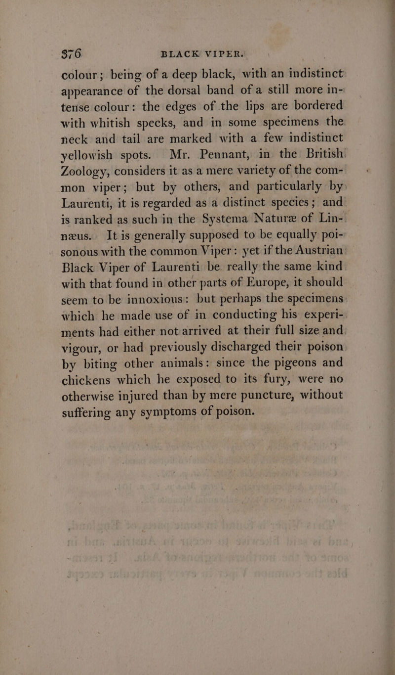 colour; being of a deep black, with an indistinct appearance of the dorsal band of a still more in- terse colour: the edges of the lips are bordered with whitish specks, and in some specimens the neck and tail are marked with a few indistinct yellowish spots. Mr. Pennant, in the British Zoology, considers it as a mere variety of the com- mon viper; but by others, and particularly by Laurenti, it is regarded as a distinct species; and. is ranked as such in the Systema Nature of Lin- neus. It is generally supposed to be equally poi- sonous with the common Viper: yet if the Austrian: Black Viper of Laurenti be really the same kind with that found in other parts of Europe, it should seem to be innoxious: but perhaps the specimens which he made use of in conducting his experi- ments had either not arrived at their full size and vigour, or had previously discharged their poison by biting other animals: since the pigeons and chickens which he exposed to its fury, were no otherwise injured than by mere puncture, without suffering any symptoms of poison.