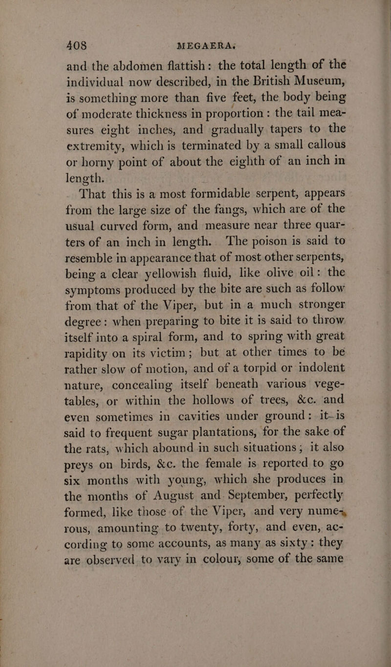 and the abdomen flattish: the total length of the individual now described, in the British Museum, is something more than five feet, the body being of moderate , ehiglewea in propor tion: the tail mea- sures eight inches, and gradually tapers to the extremity, which is terminated by a small callous or horny point of about the eighth of an inch in length. That this is a most formidable serpent, appears from the large size of the fangs, which are of the ters of an inch in length. ‘The poison is said to resemble in appearance that of most other serpents, being a clear yellowish fluid, like olive oil: the symptoms produced by the bite are such as follow from that of the Viper, but in a much stronger degree: when preparing to bite it is said to throw itself into a spiral form, and to spring with great rapidity on its victim; but at other times to be rather slow of motion, and of a torpid or indolent nature, concealing itself beneath various vege- tables, or within the hollows of trees, &amp;c. and even sometimes in cavities under ground: it-is said to frequent sugar plantations, for the sake of the rats, which abound in such situations; it also preys on birds, &amp;c. the female is. reported to go six months with young, which she produces in the months of August and. September, perfectly formed, like those of the Viper, and very numes, rous, amounting to twenty, forty, and even, ac- cording to some accounts, as many as sixty: they are sbaakaa to vary in colour, some of the same
