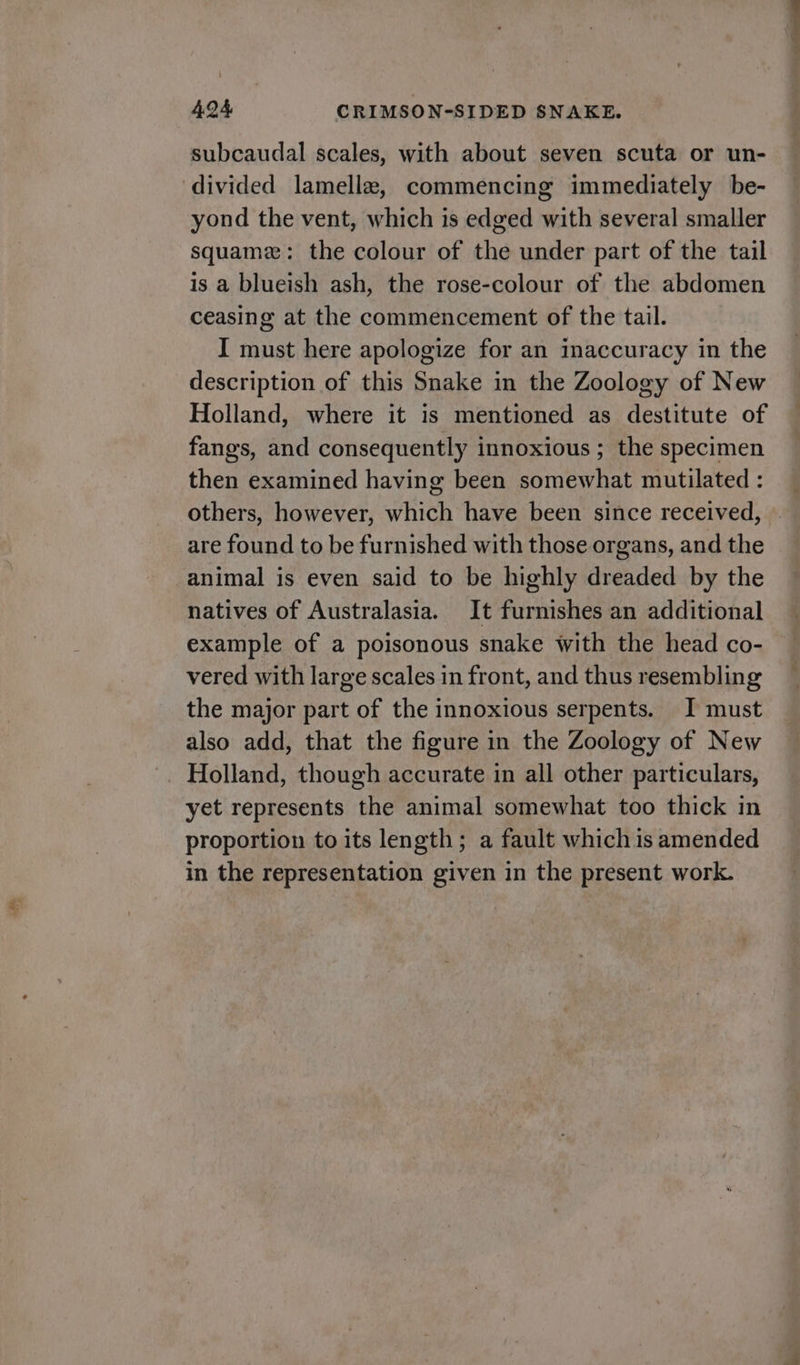 subcaudal scales, with about seven scuta or un- divided lamelle, commencing immediately be- yond the vent, which is edged with several smaller squame: the colour of the under part of the tail is a blueish ash, the rose-colour of the abdomen ceasing at the commencement of the tail. I must here apologize for an inaccuracy in the description of this Snake in the Zoology of New Holland, where it is mentioned as destitute of fangs, and consequently innoxious ; the specimen then examined having been somewhat mutilated : others, however, which have been since received, are found to be furnished with those organs, and the animal is even said to be highly dreaded by the natives of Australasia. It furnishes an additional example of a poisonous snake with the head co- vered with large scales in front, and thus resembling the major part of the innoxious serpents. I must also add, that the figure in the Zoology of New _ Holland, though accurate in all other particulars, yet represents the animal somewhat too thick in proportion to its length; a fault which is amended in the representation given in the present work. 4