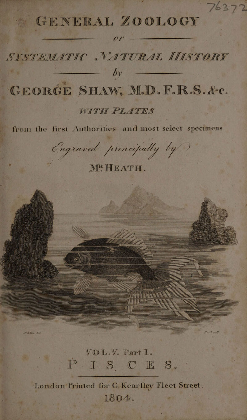 ee oes ihe t)&gt; = / a , / ‘ _ ; ‘ 7 » GENERAL ZOOLOGY OF SYSTEMATIC .VATURAL WWISTORY e, Ni a Sime a by GEORGE S HAW, M.D. F. RS. Ac. WITH PLATES from the first Authorities and most select specimens : - a s Cng raved Prncpally ty fo. * SS MP HEATR. VOL.YV. Part l. | plage Maes Pumas iE DA London Printed for G, Kear fley Fleet Street. 18O4. :