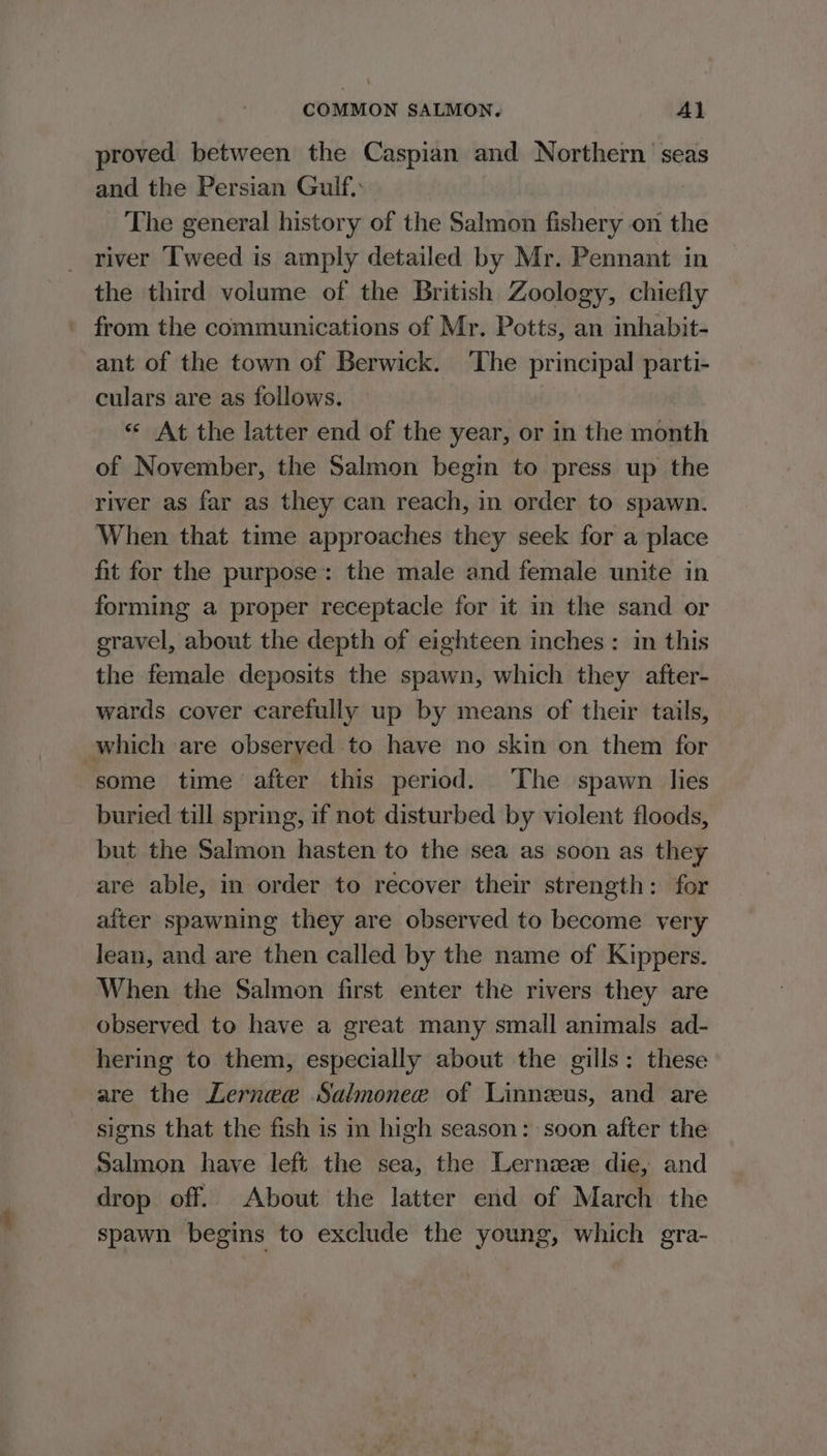 proved between the Caspian and Northern seas and the Persian Gulf. The general history of the Salmon fishery on the river Tweed is amply detailed by Mr. Pennant in the third volume of the British Zoology, chiefly from the communications of Mr. Potts, an inhabit- ant of the town of Berwick. ‘The principal parti- culars are as follows. « At the latter end of the year, or in the month of November, the Salmon begin to press up the river as far as they can reach, in order to spawn. When that time approaches they seek for a place fit for the purpose: the male and female unite in forming a proper receptacle for it in the sand or gravel, about the depth of eighteen inches: in this the female deposits the spawn, which they after- wards cover carefully up by means of their tails, which are observed to have no skin on them for some time after this period. The spawn lies buried till spring, if not disturbed by violent floods, but the Salmon hasten to the sea as soon as they are able, in order to recover their strength: for aiter spawning they are observed to become very lean, and are then called by the name of Kippers. When the Salmon first enter the rivers they are observed to have a great many small animals ad- hering to them, especially about the gills: these are the Lernee Salmonee of Linnzeus, and are signs that the fish is in high season: soon after the Salmon have left the sea, the Lernzez die, and drop off. About the latter end of March the spawn begins to exclude the young, which gra-